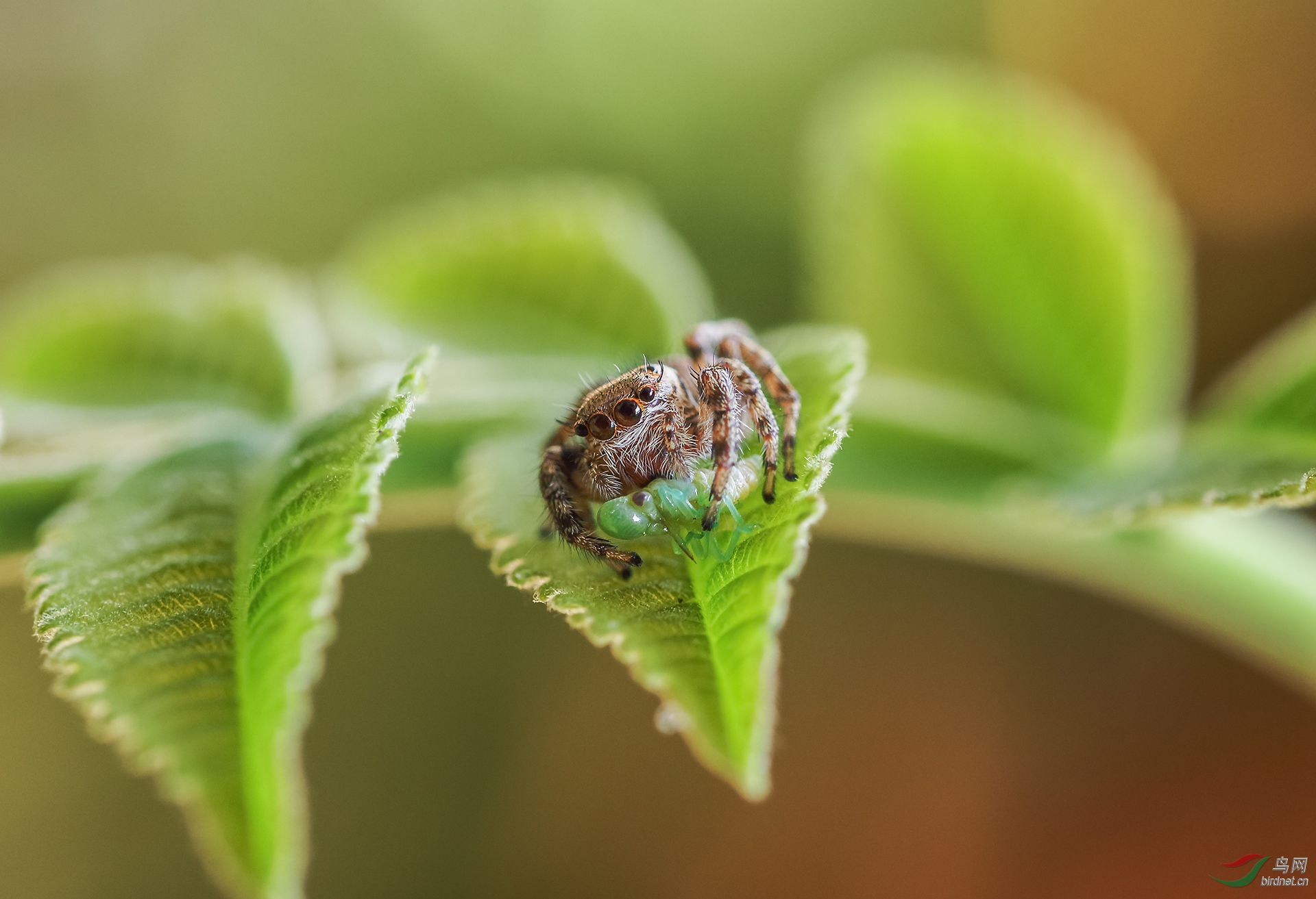 017. 10766_��������_��������.jpg