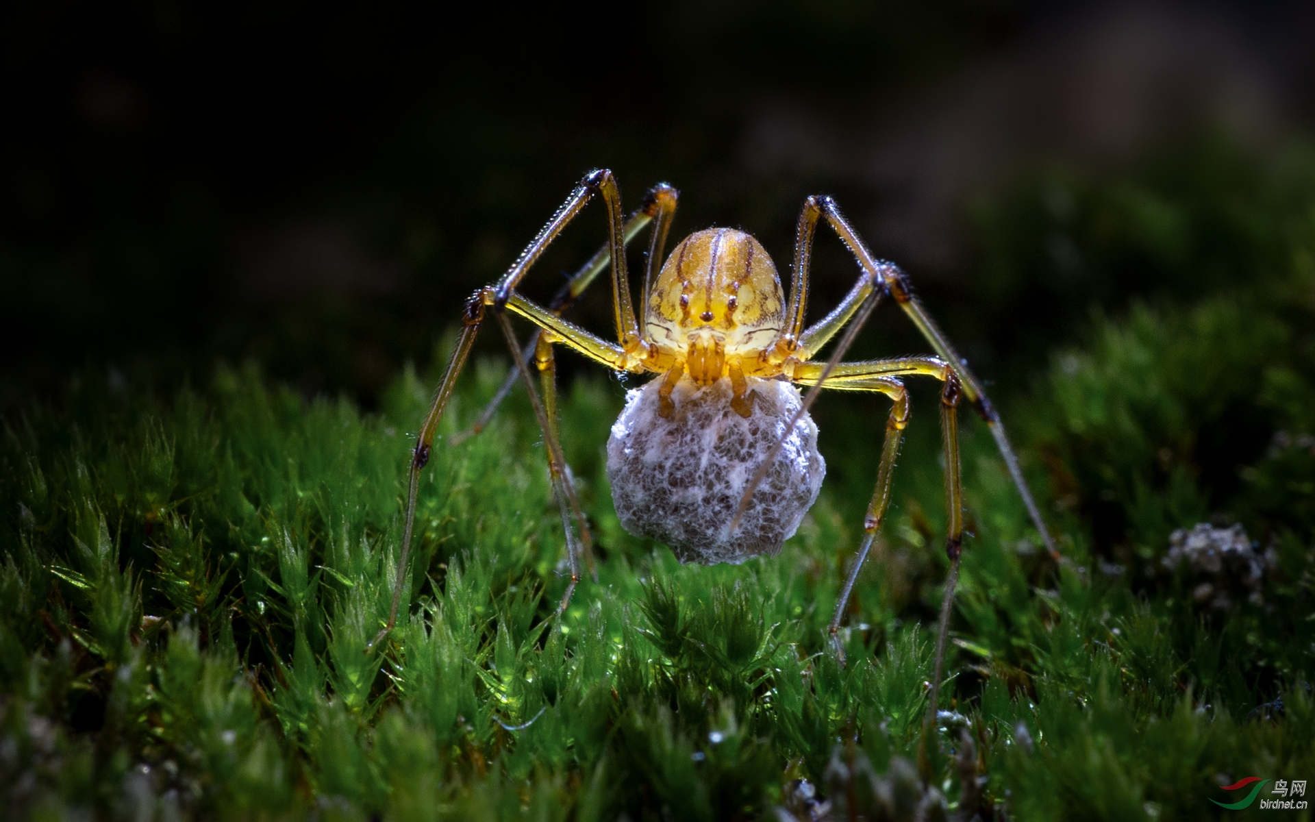 020. 10777_���鶦_��������.jpg