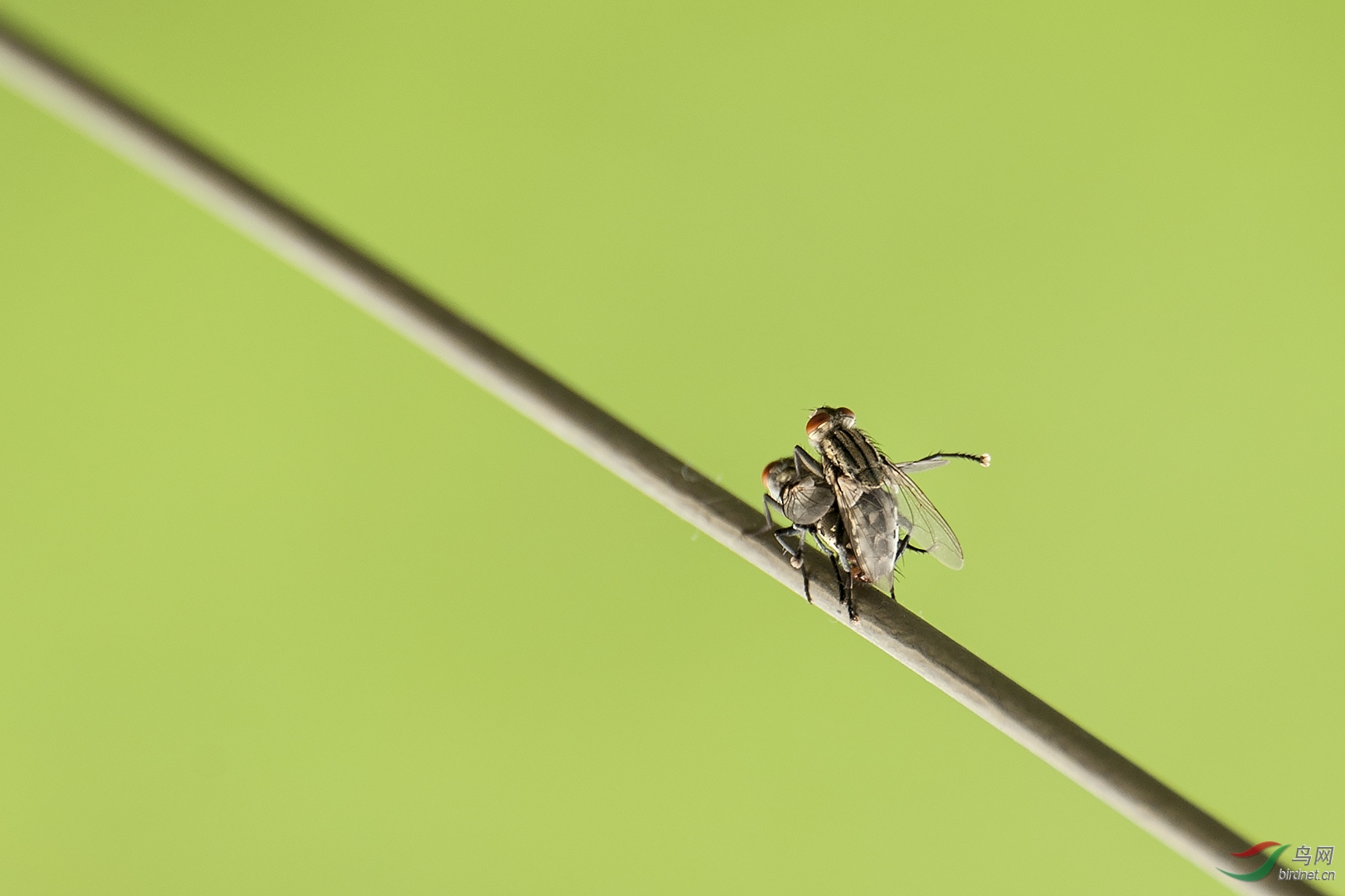 024. 10821_�����ӱ�_��������.jpg