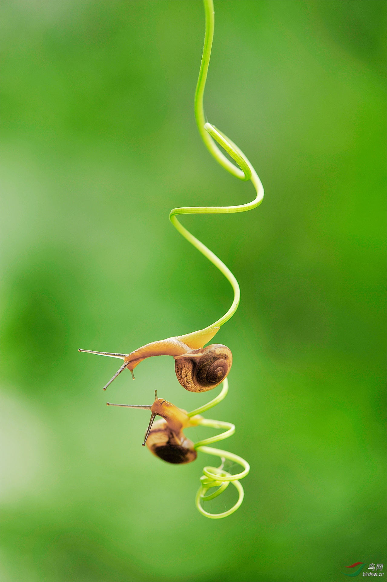 039. 10856_��ţȤ��_��������.jpg