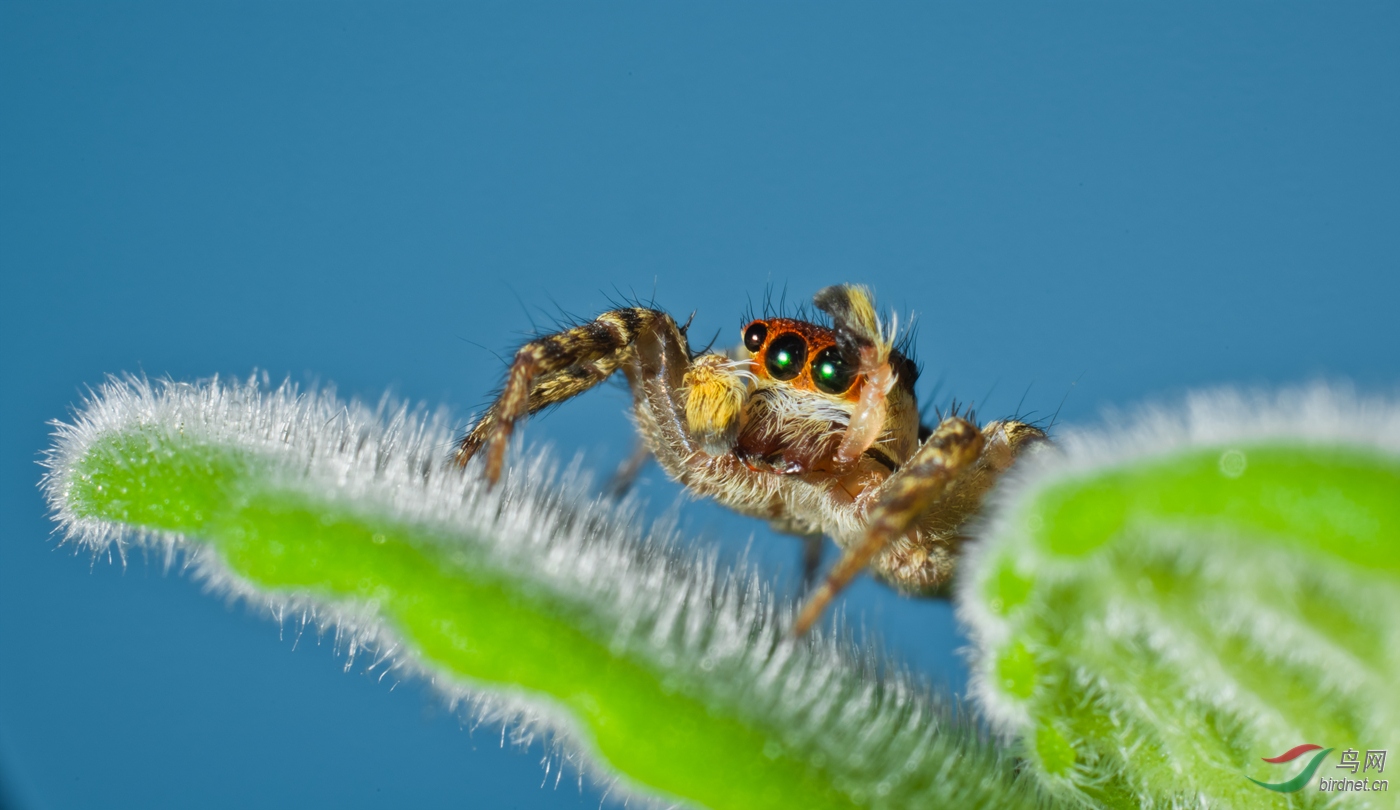 042. 10869_ң��_��������.jpg