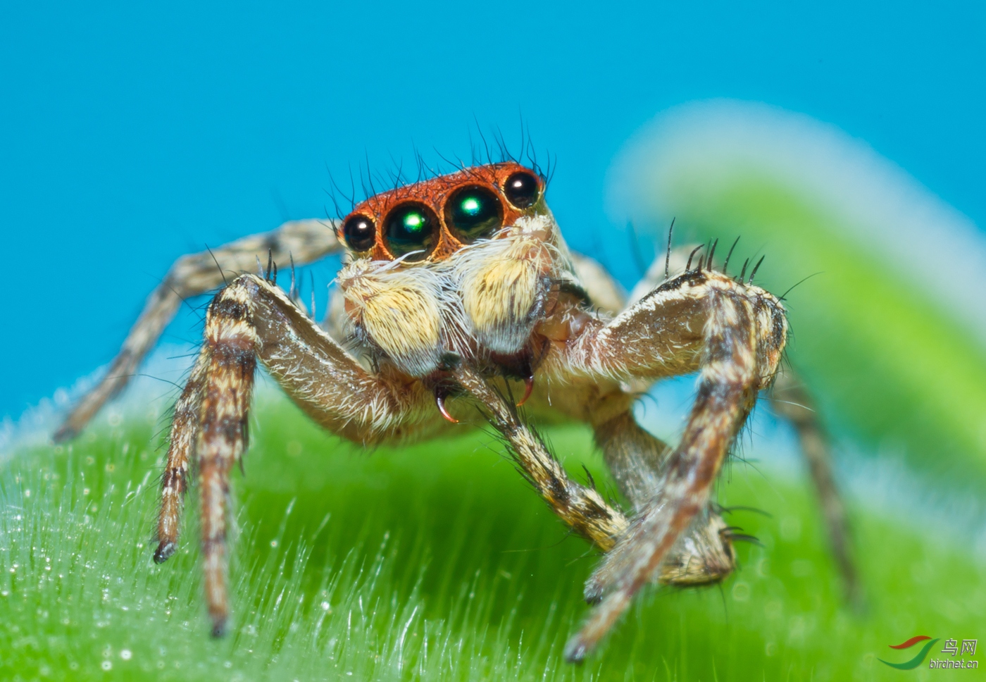 041. 10868_������_��������.jpg