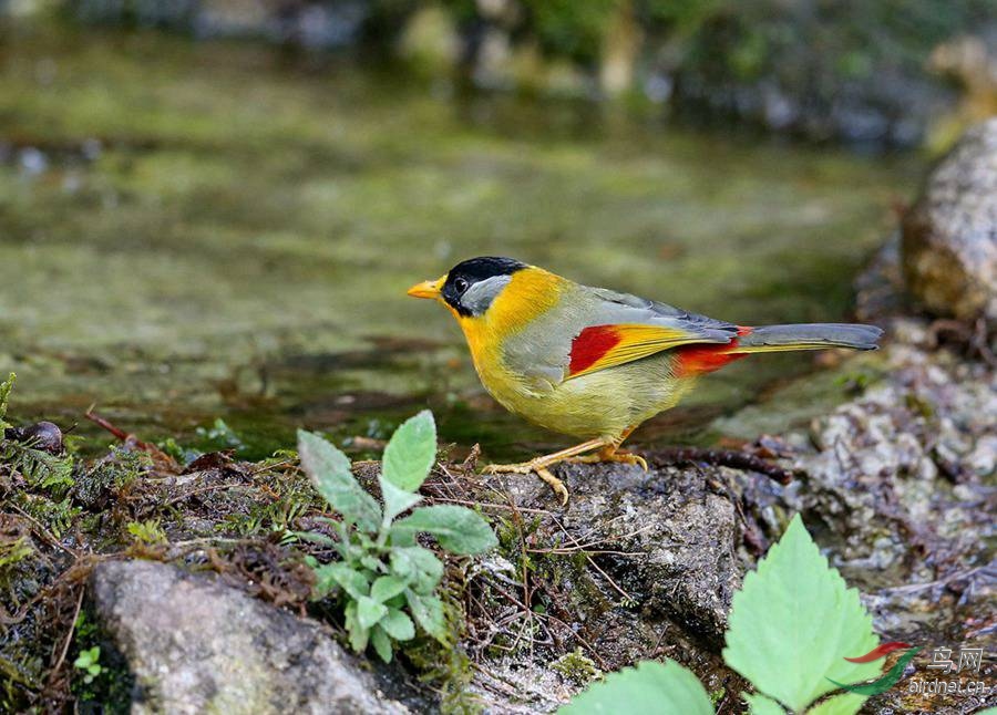 30.jpg