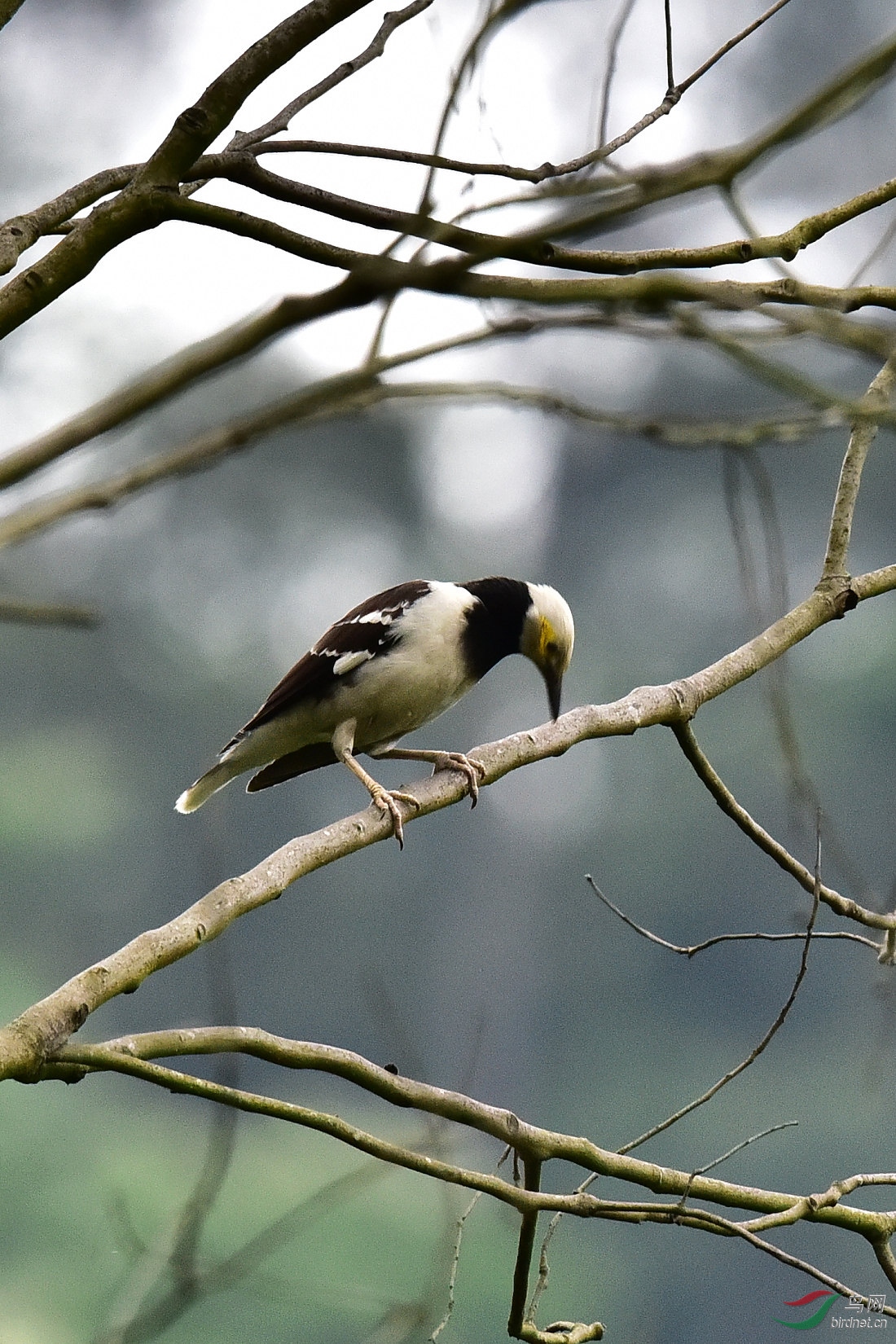 DSC_0190.JPG