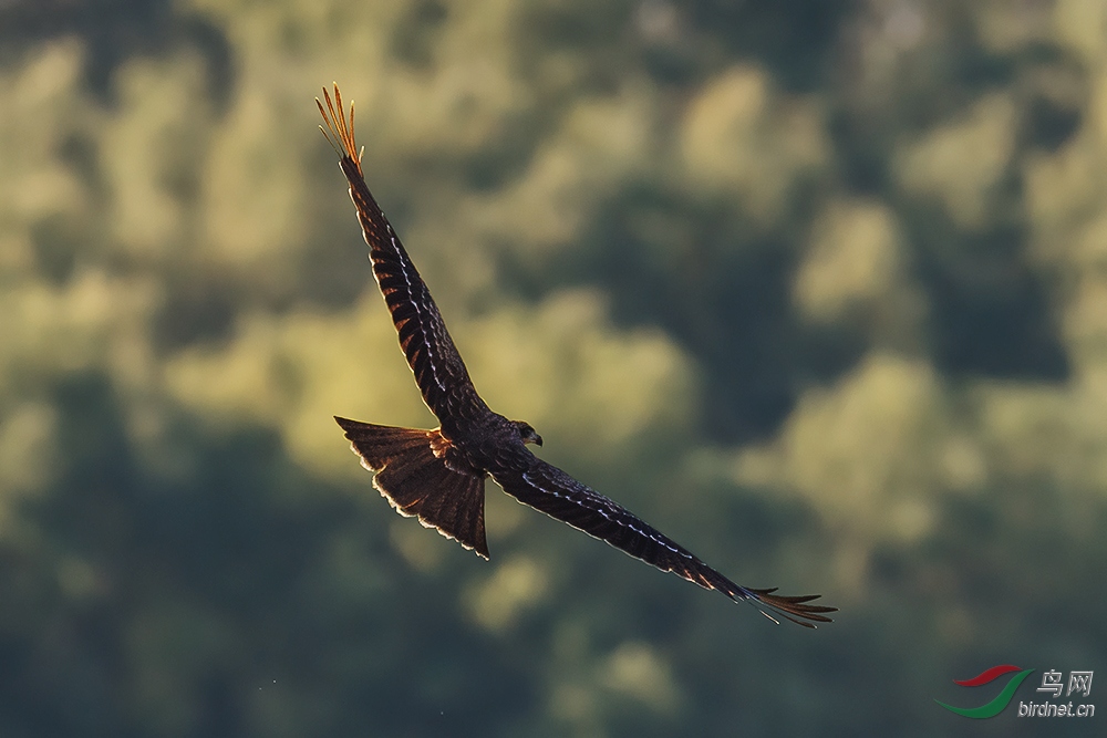 DSC_0013-2.jpg