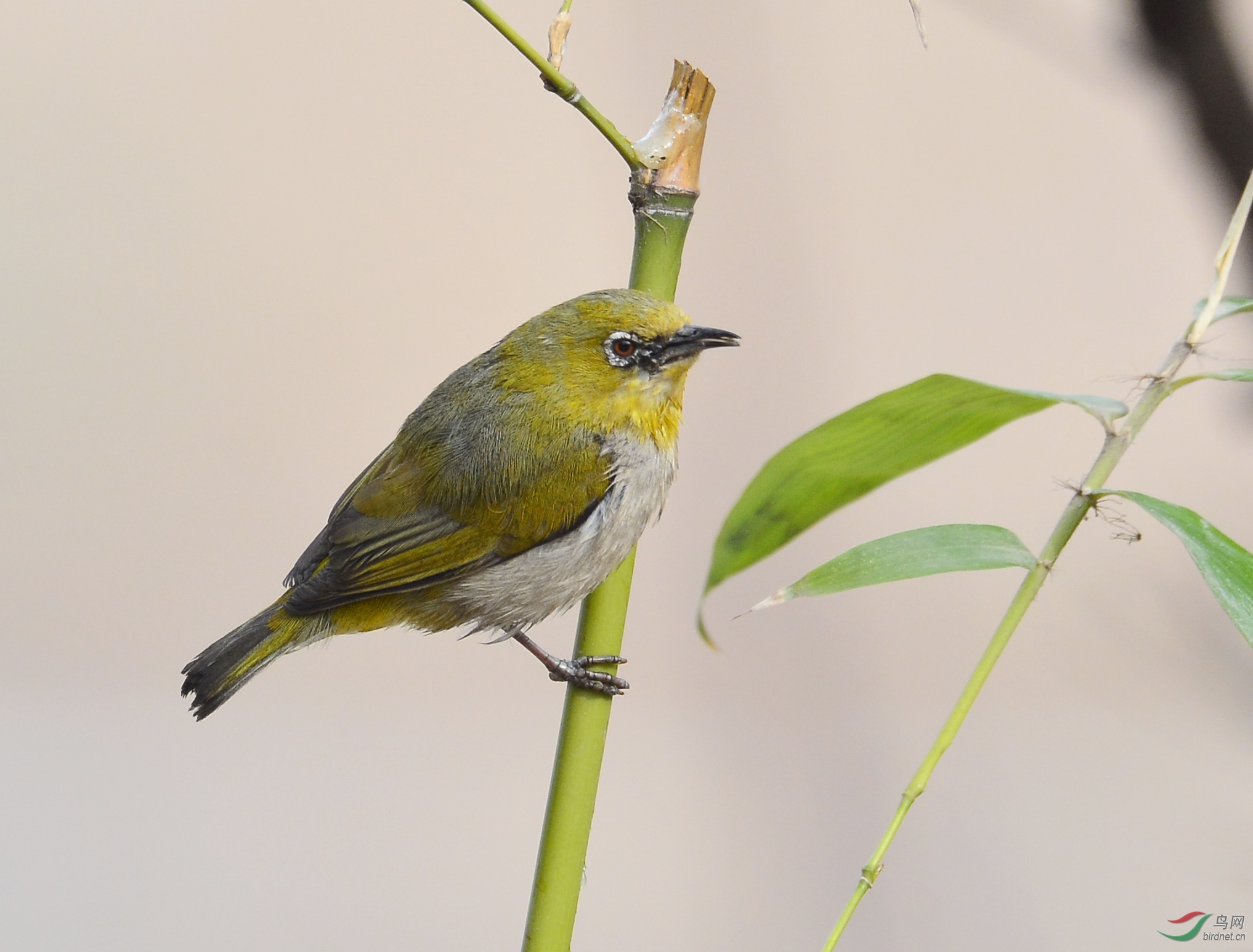 ������Ӱ 114����.jpg