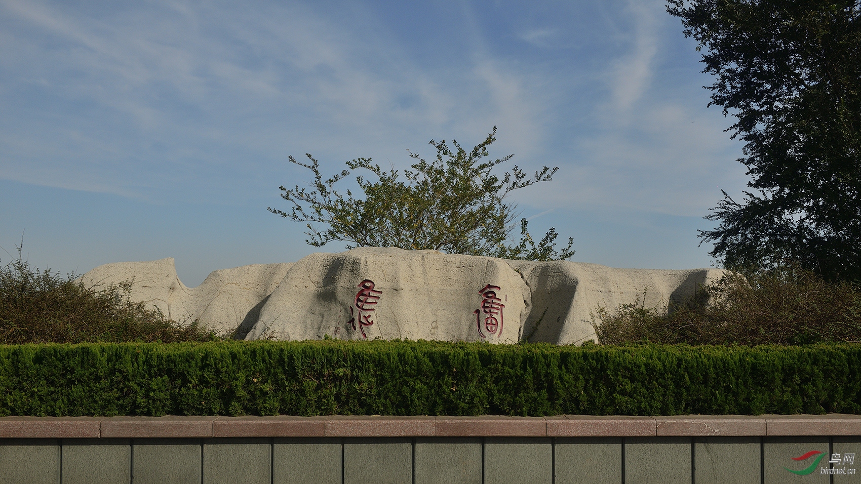 _D8A7807_11269a.jpg