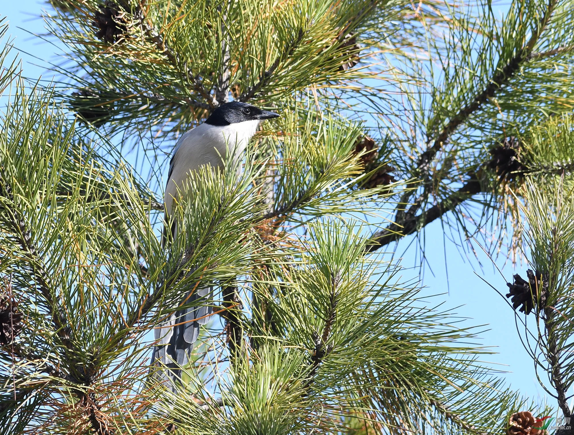 ������Ӱ 109����.jpg