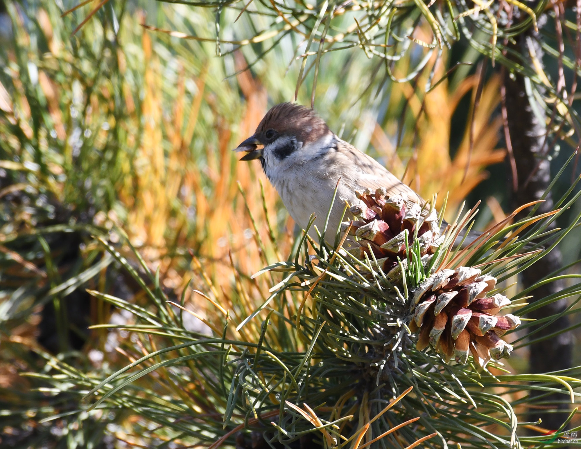 ������Ӱ 231����.jpg