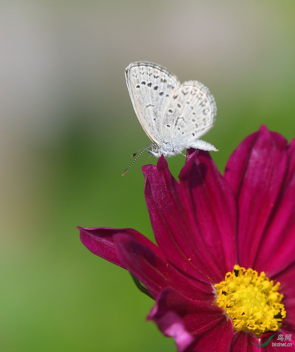 DSC_9982_����.jpg