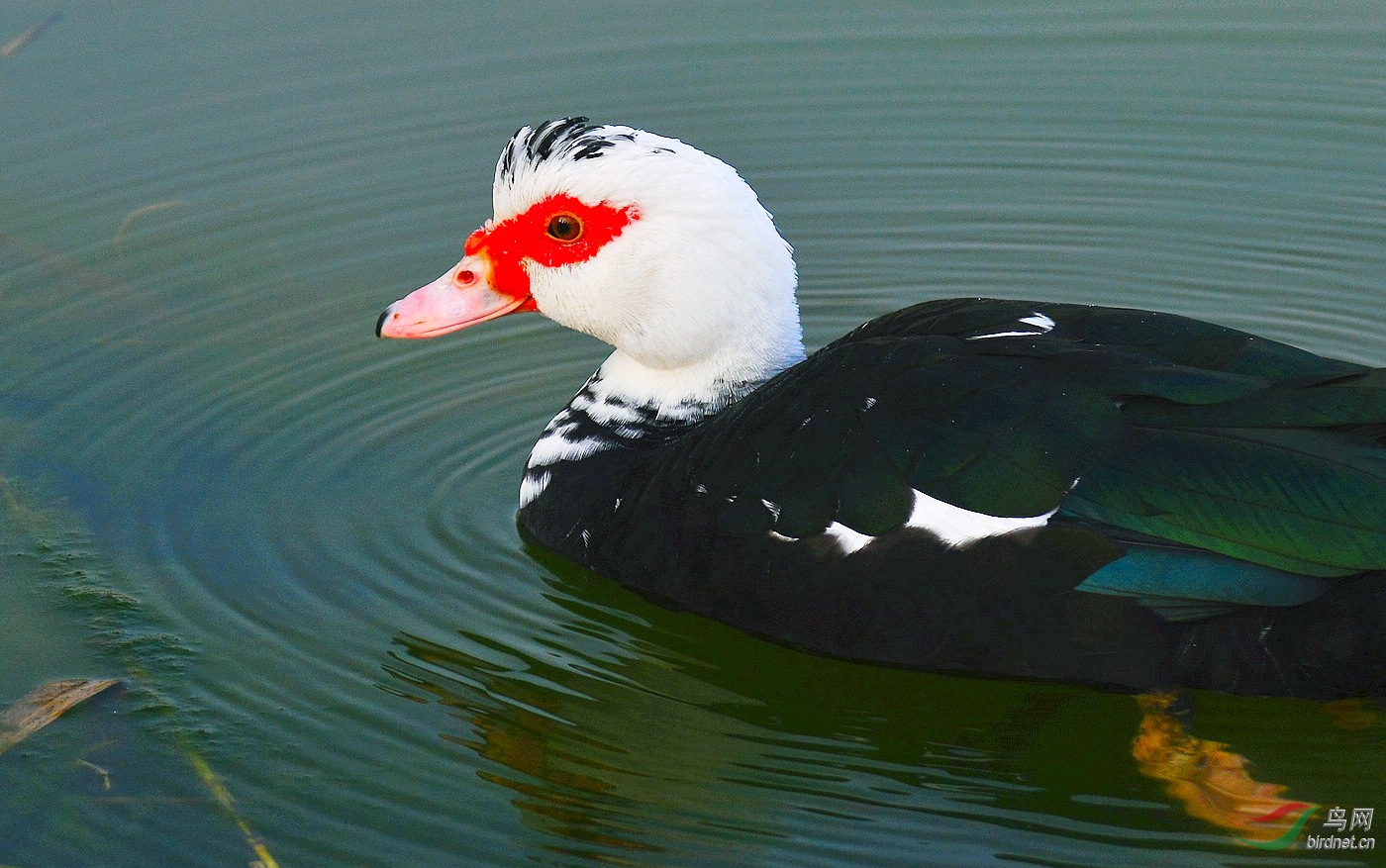DSC_4029.JPG