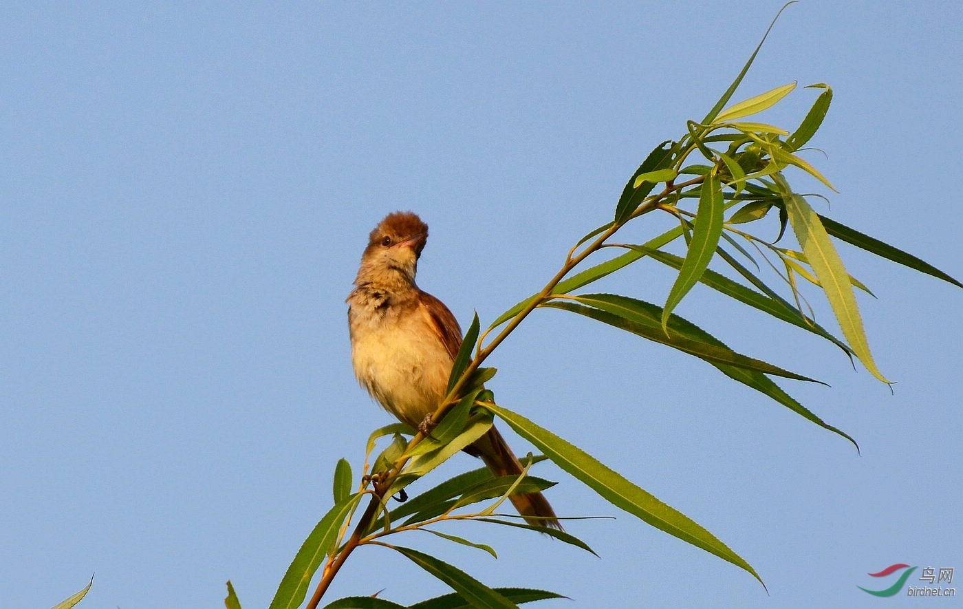 DSC_3791.JPG
