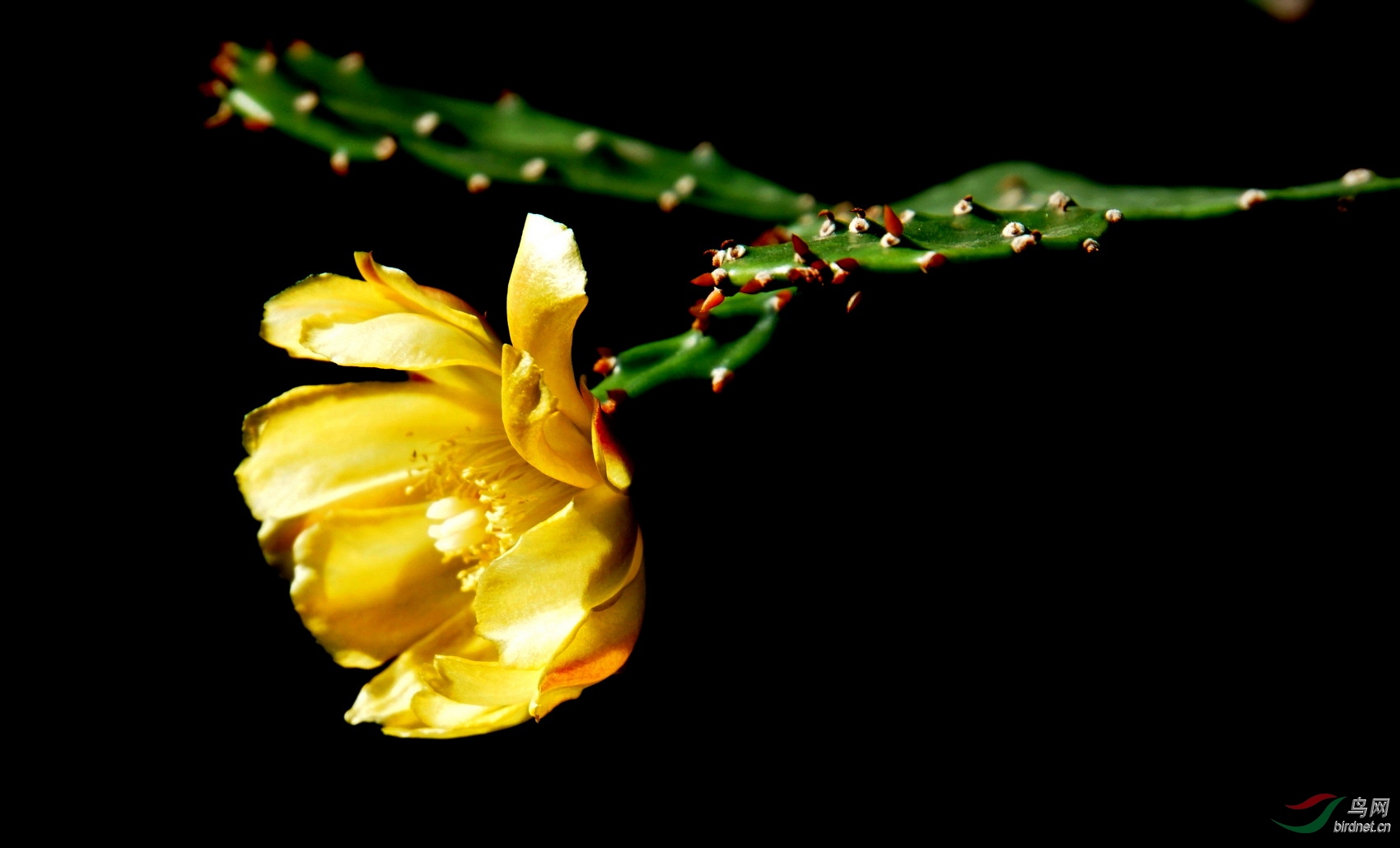 DSC09800.JPG