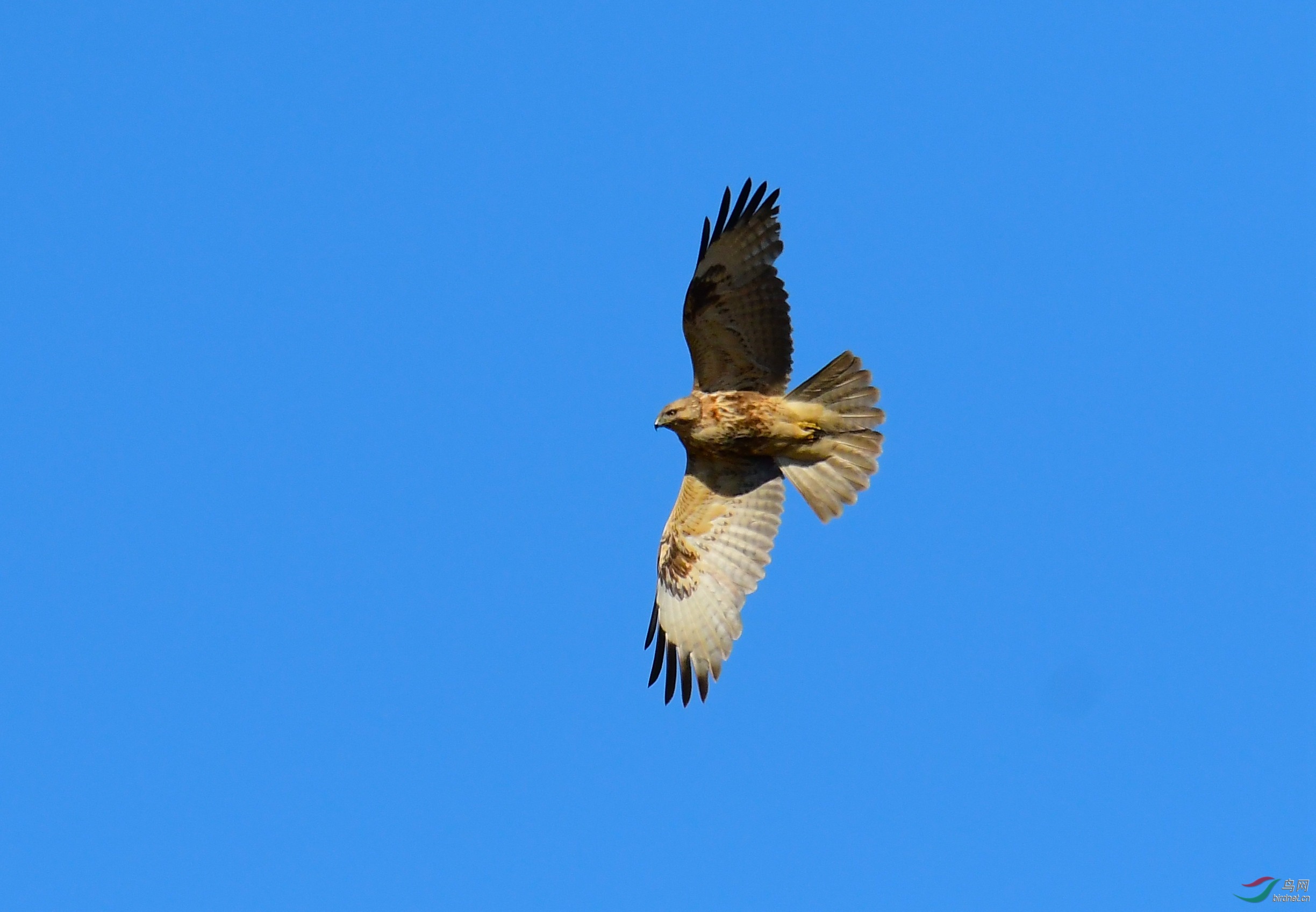 DSC_2179.JPG