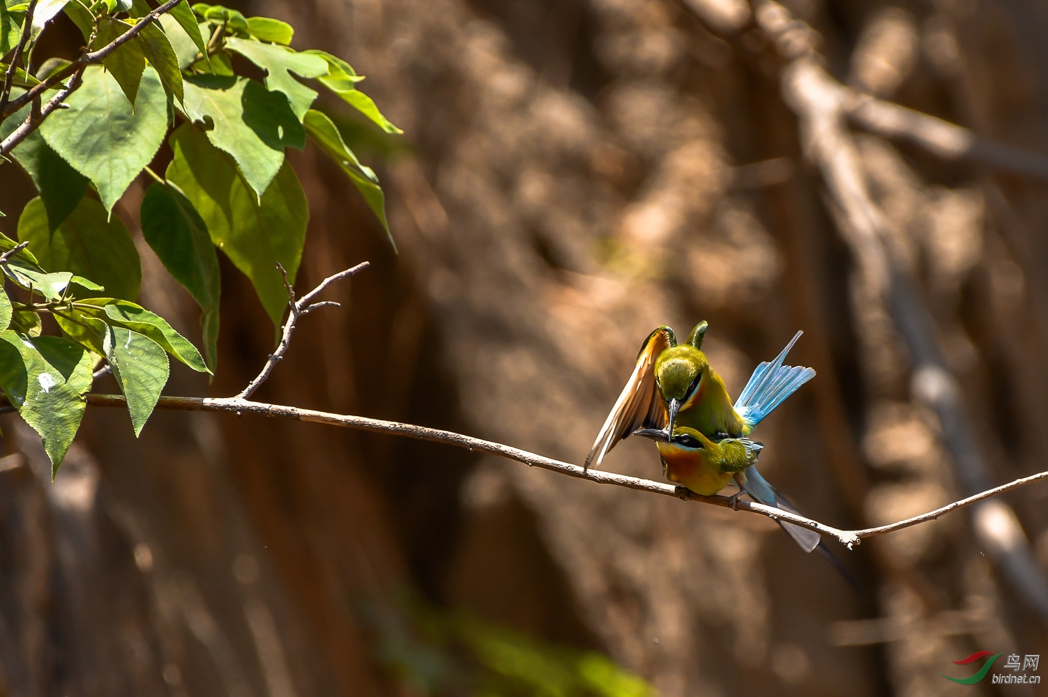 DSC_7799.jpg