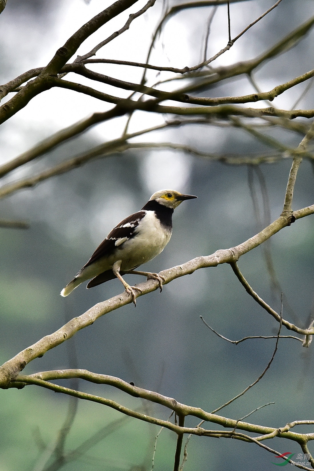 DSC_0191.JPG