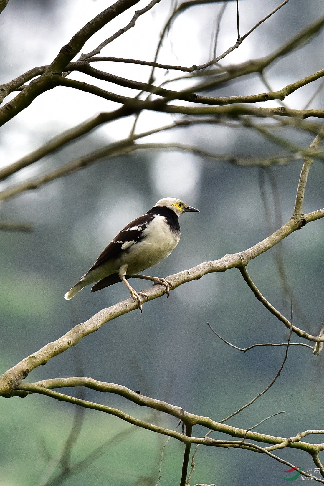 DSC_0192.JPG