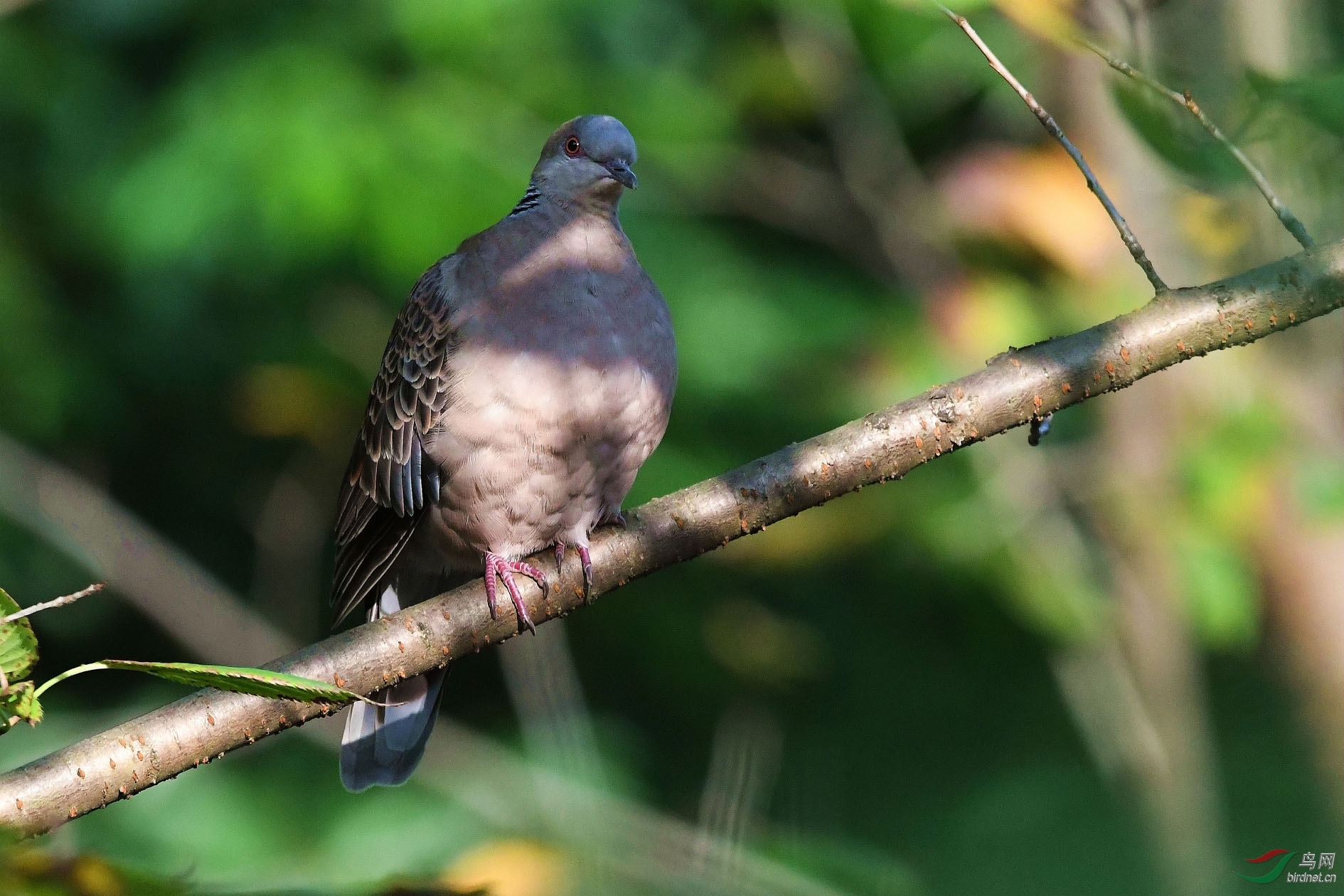 DSC_5767.JPG