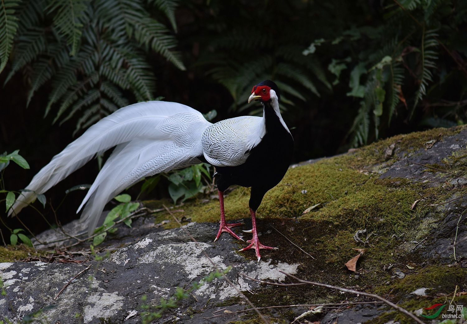 D8I_0756.jpg