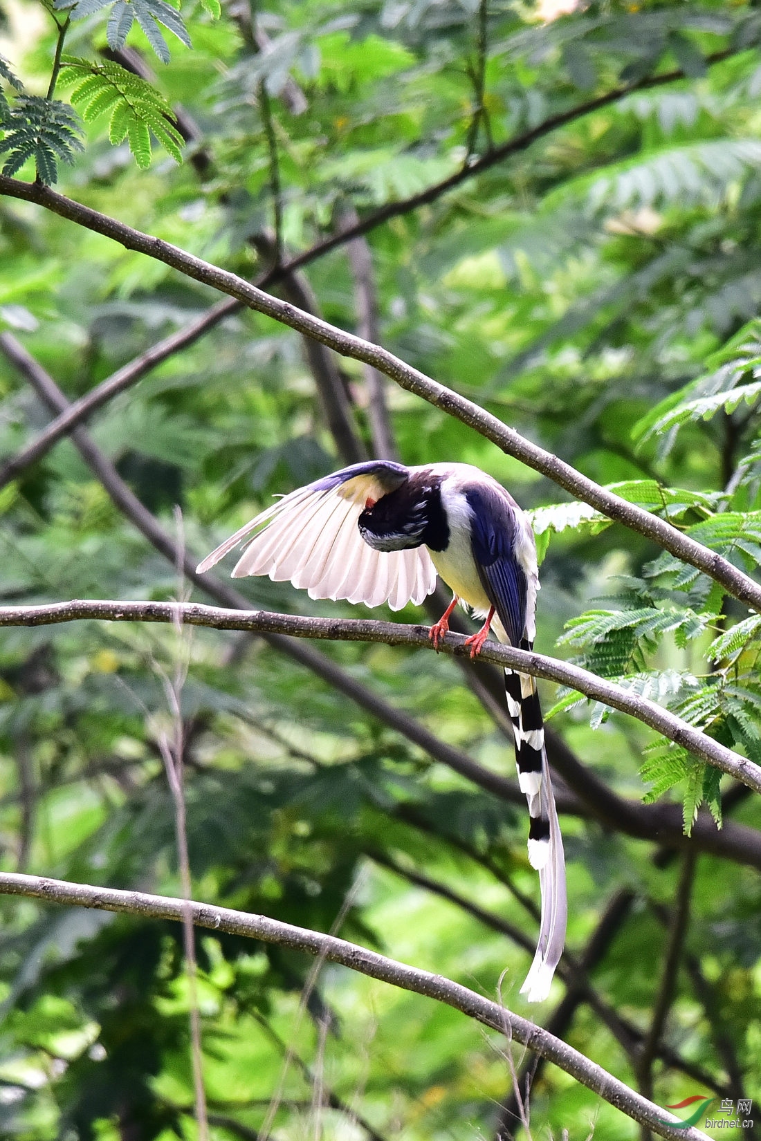 DSC_0614.JPG