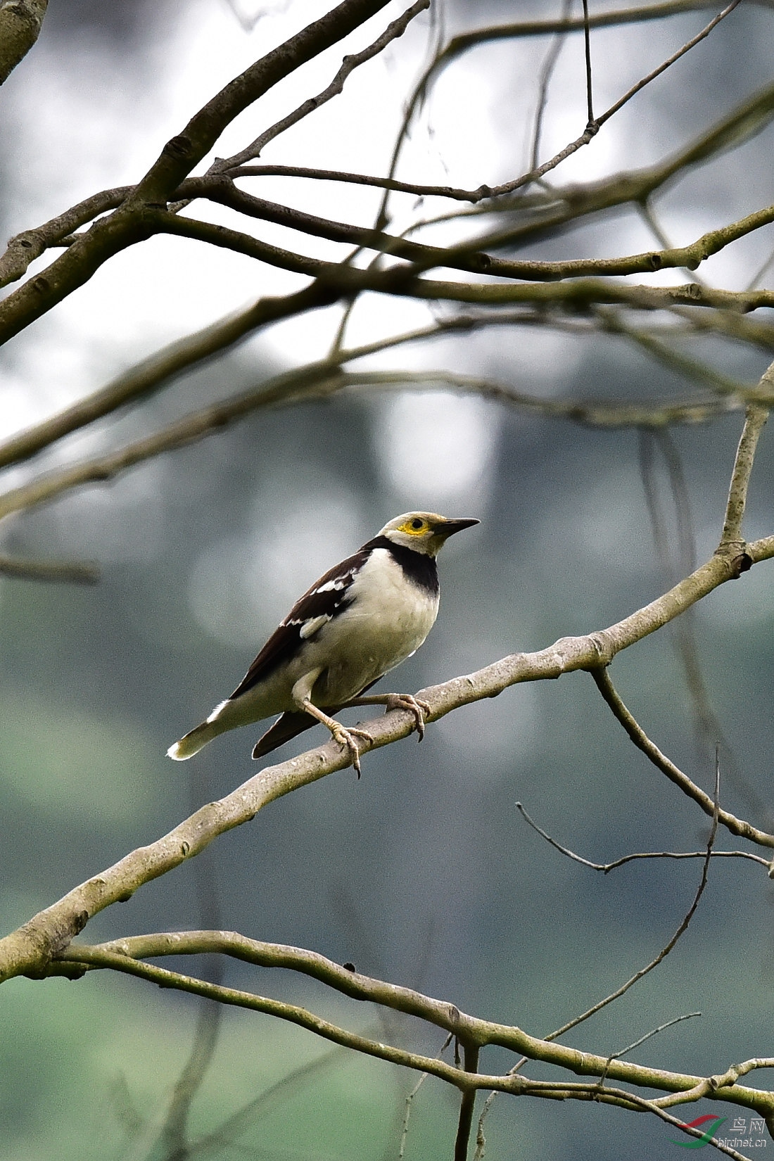 DSC_0194.JPG