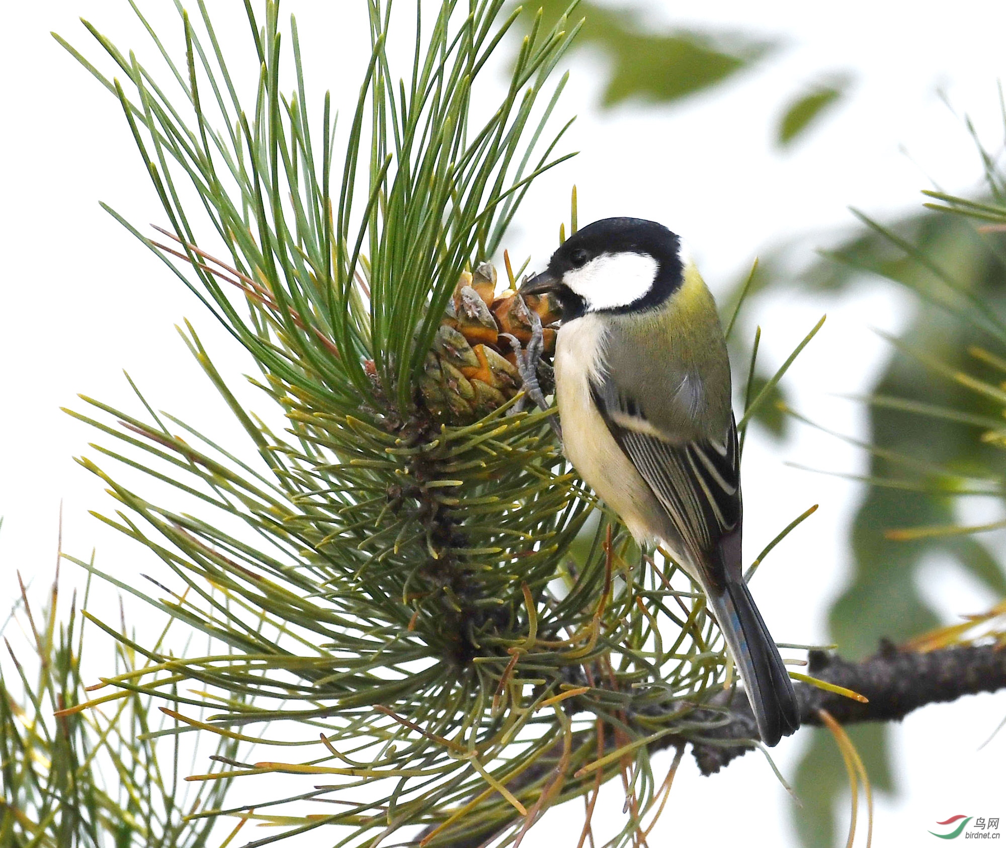 ������Ӱ 175����.jpg