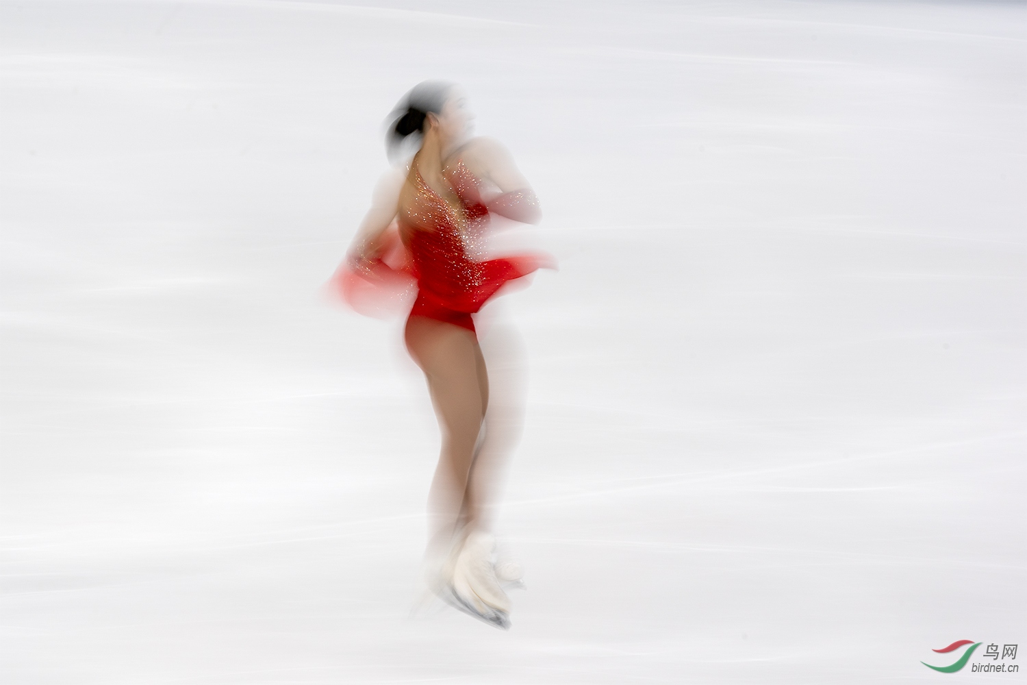 2019_DSC0810.jpg