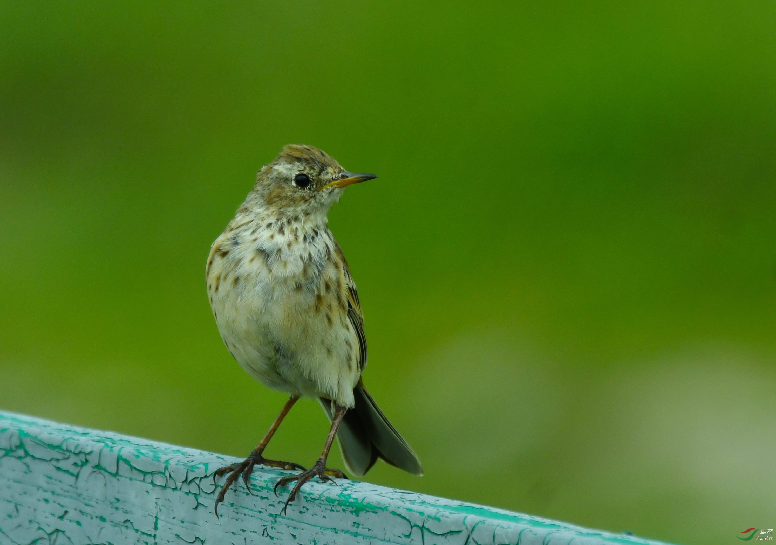 DSC_3562.JPG