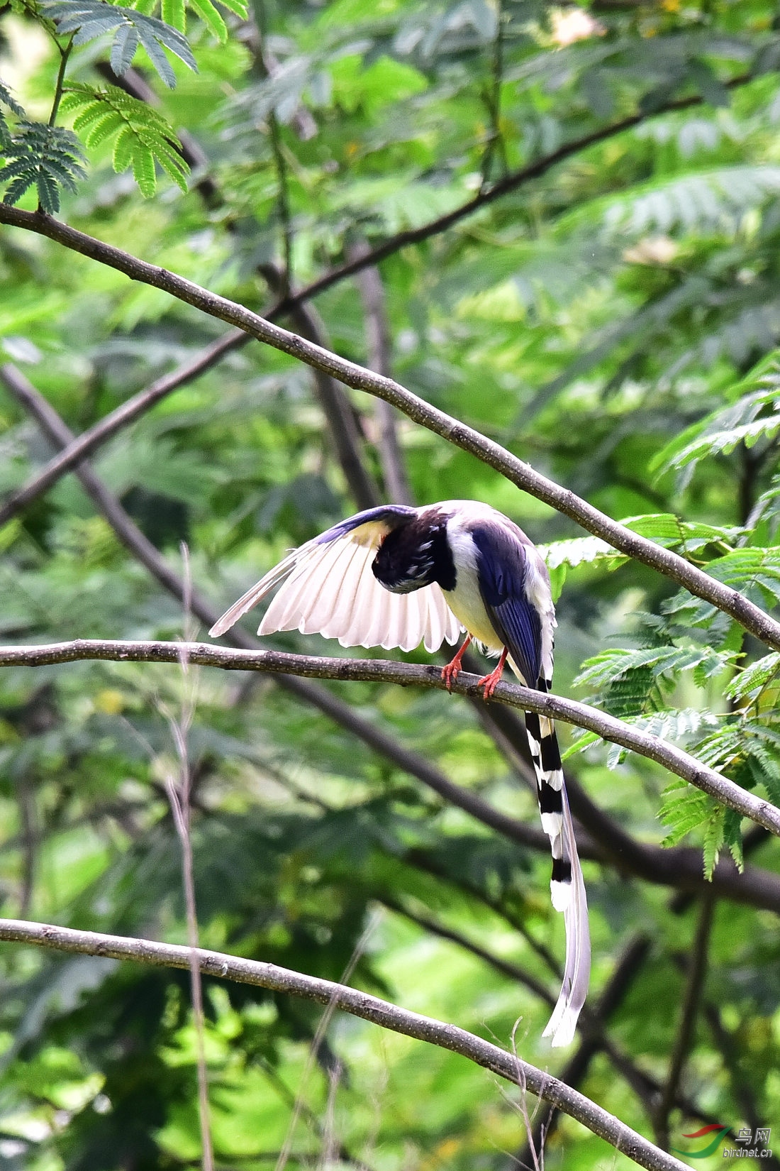 DSC_0615.JPG