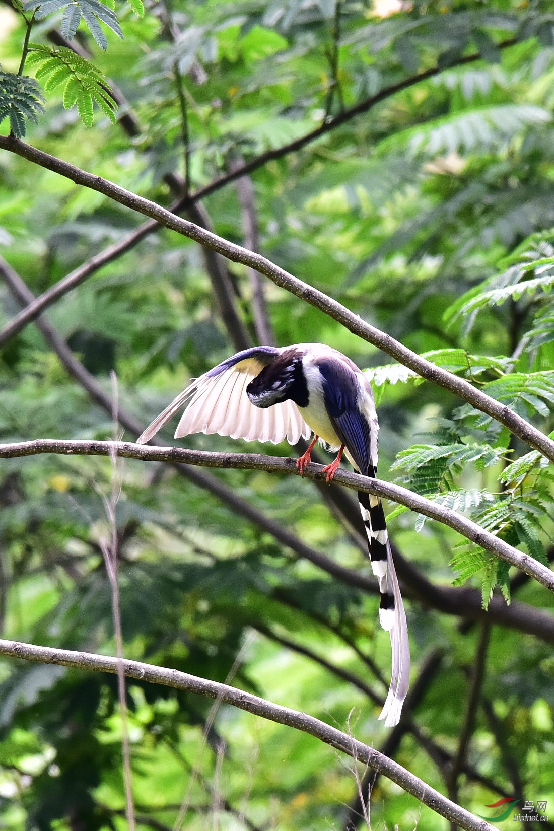 DSC_0616.JPG