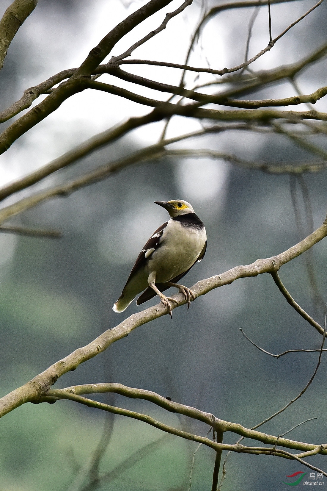 DSC_0196.JPG