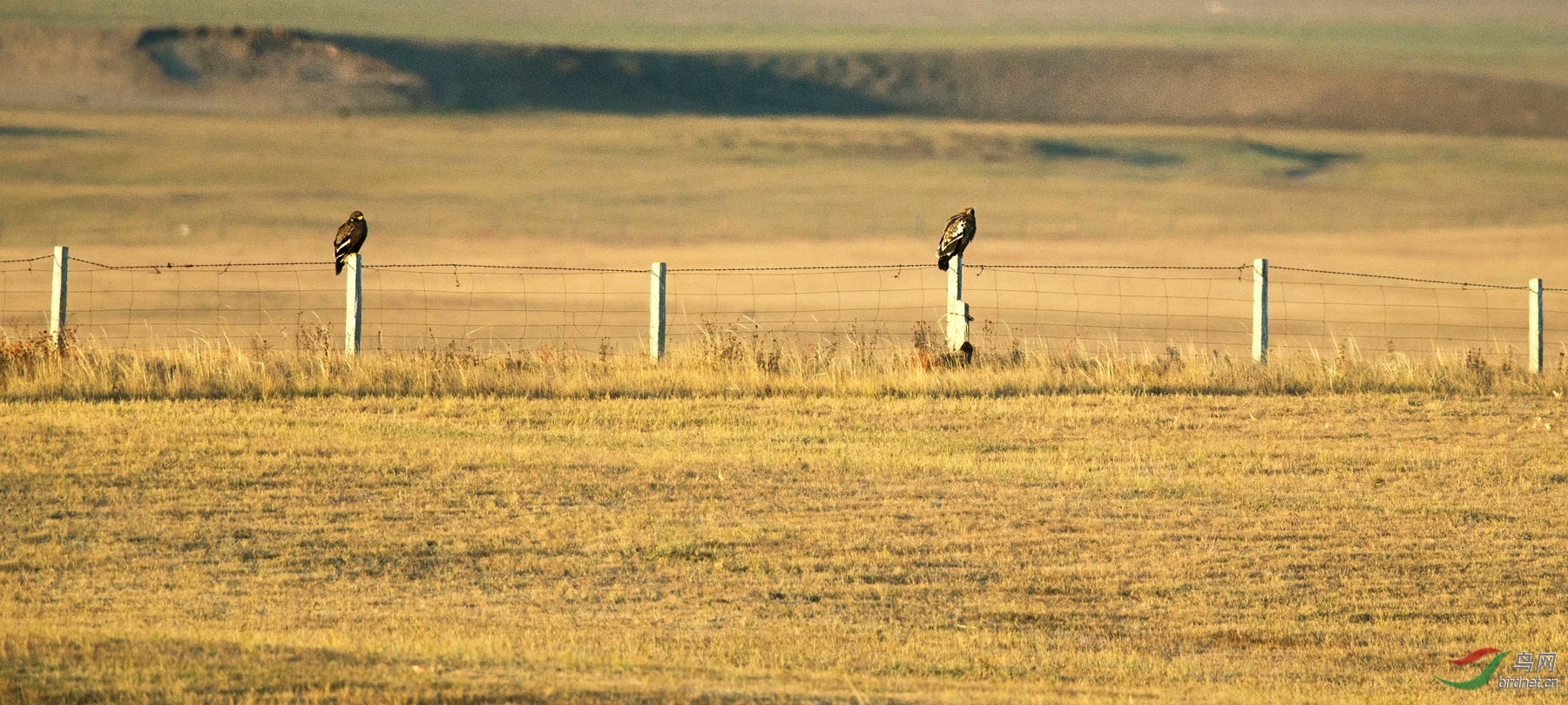 BW4Q1177 - ���� - ����.jpg