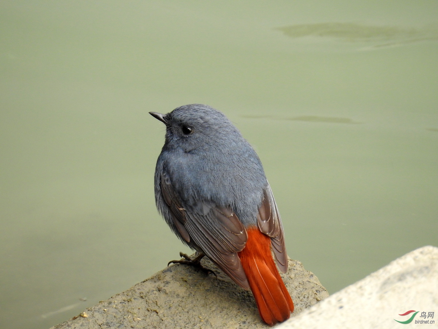 DSCN6562.JPG