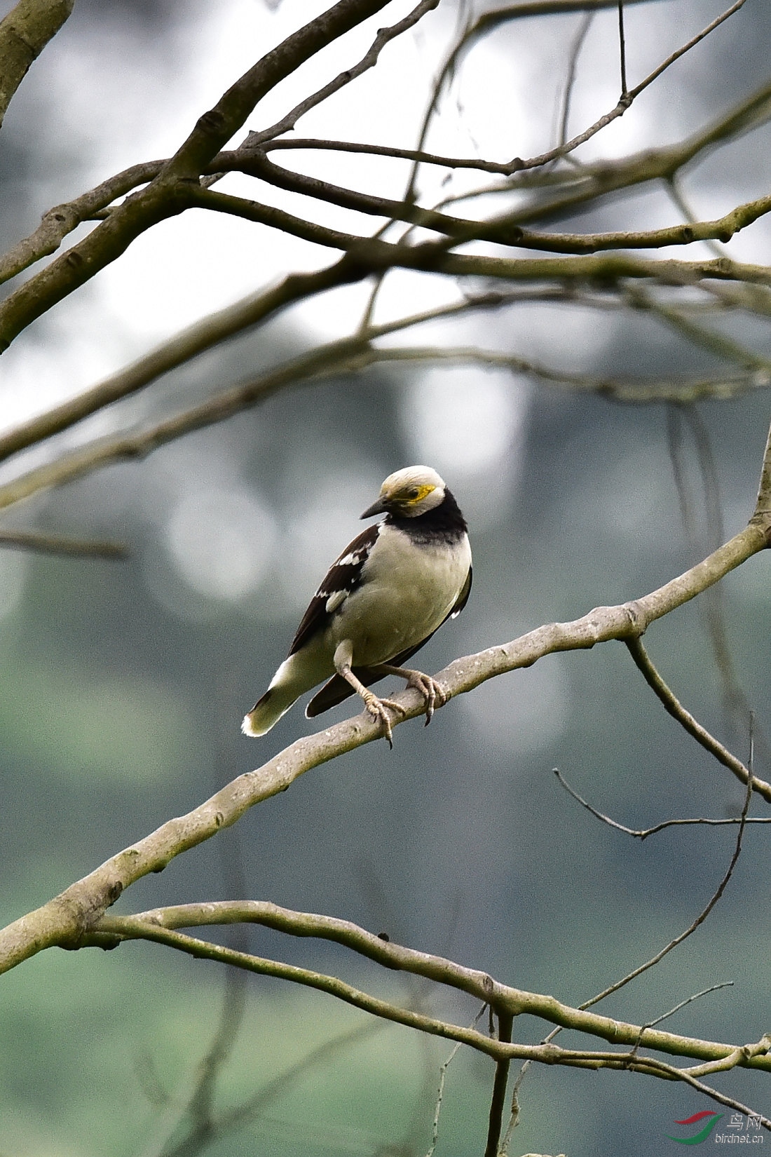 DSC_0200.JPG