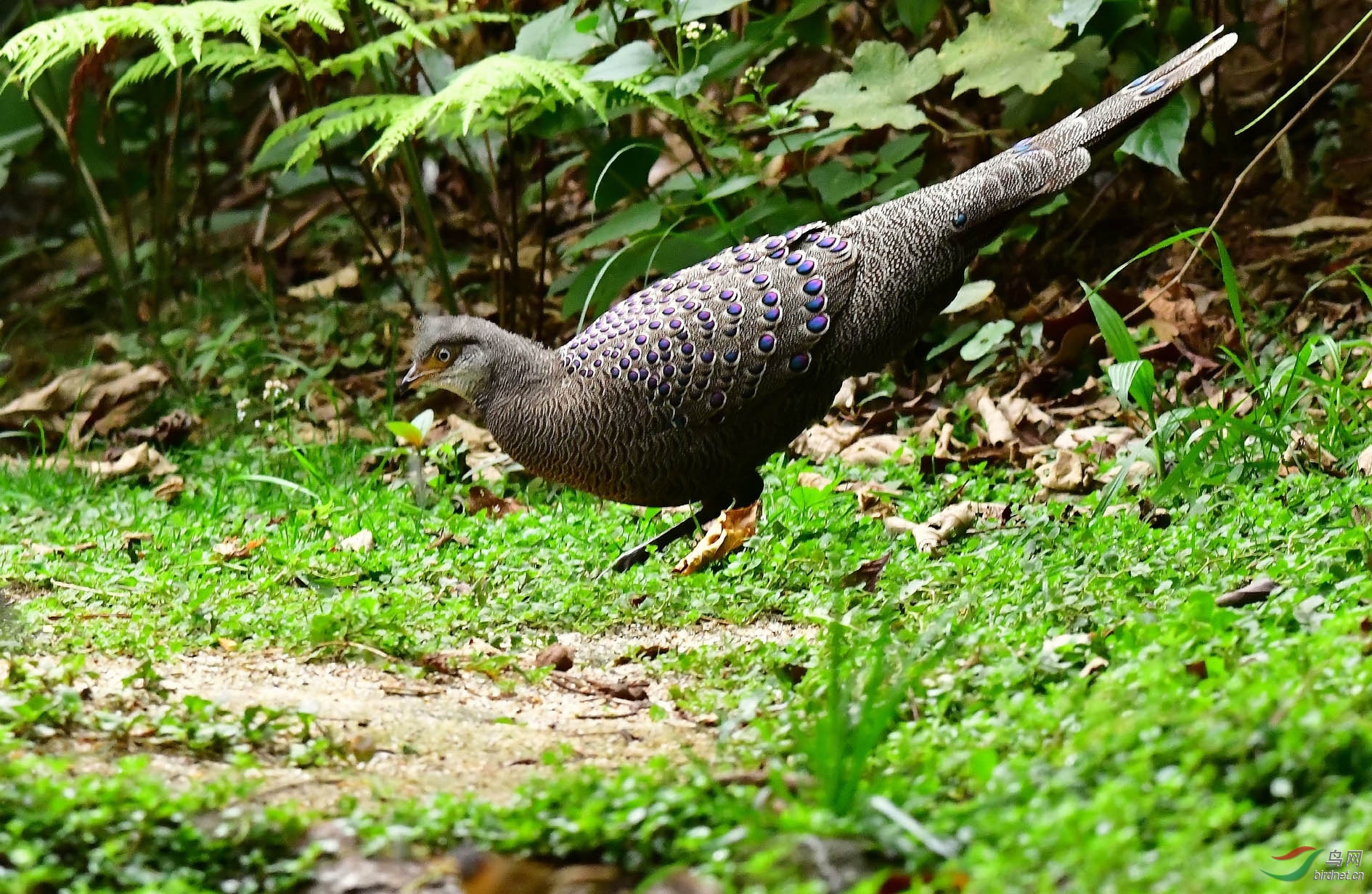 DSC_4291_����.jpg