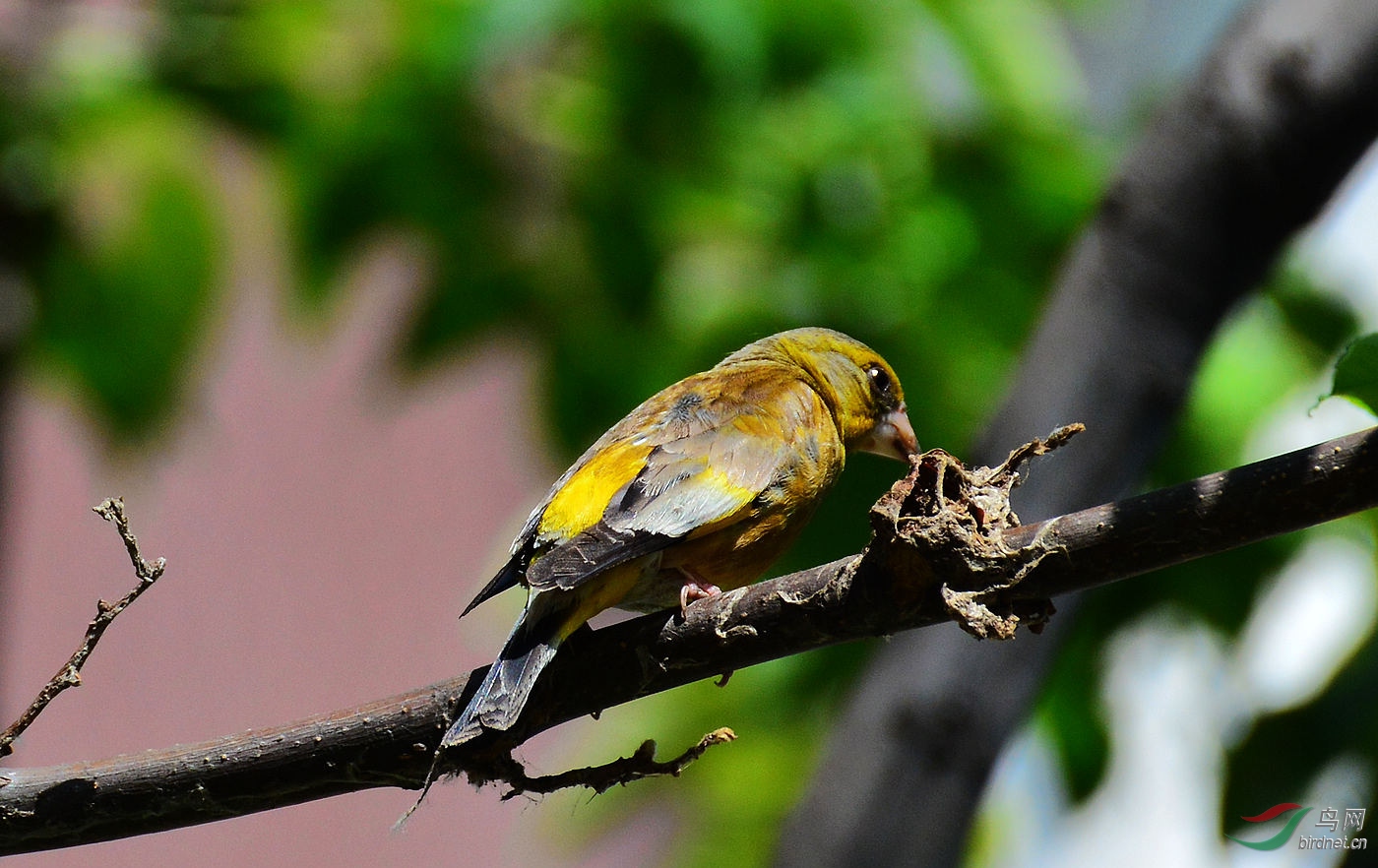 DSC_7729.JPG