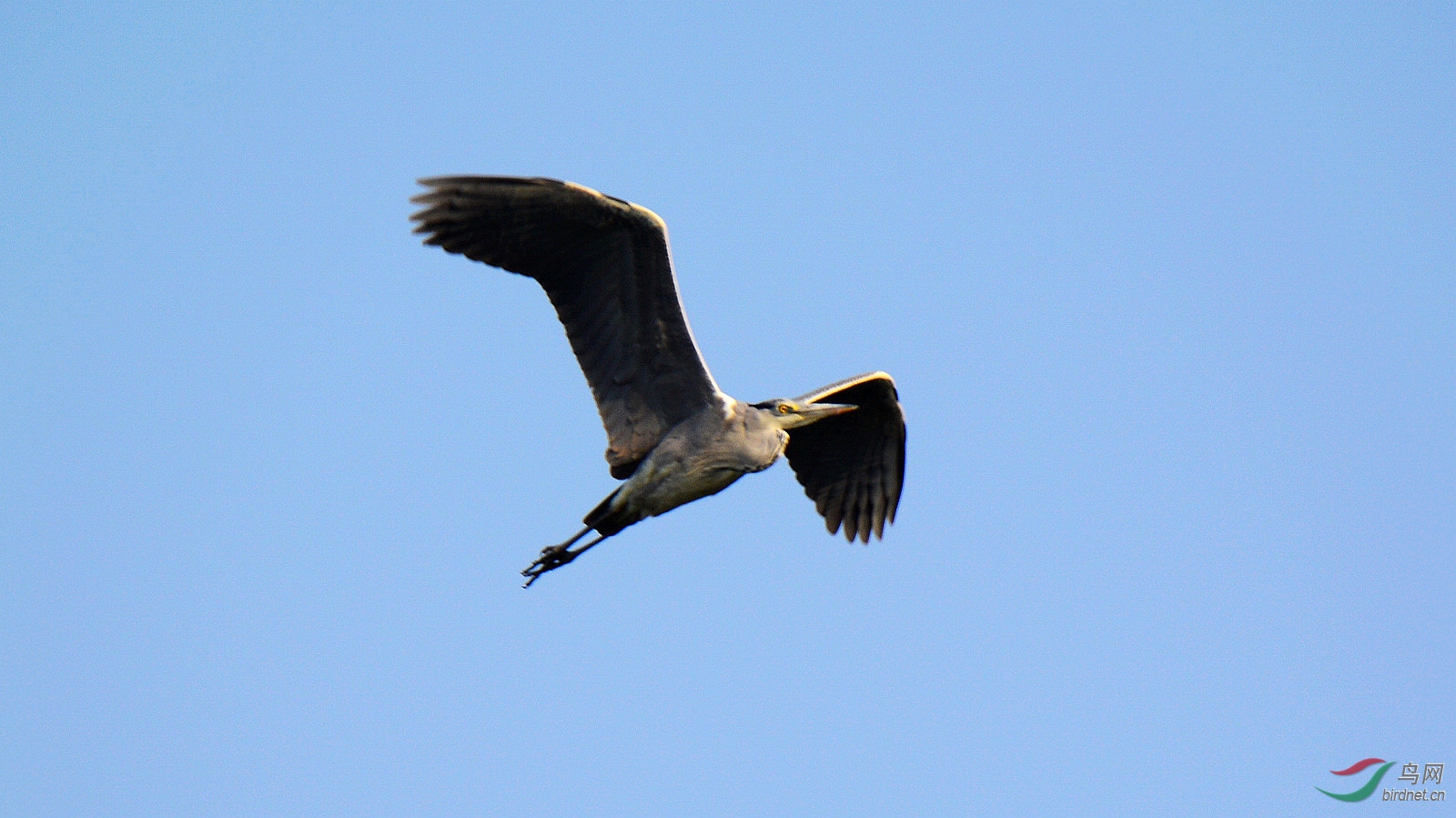 DSC_0340.JPG