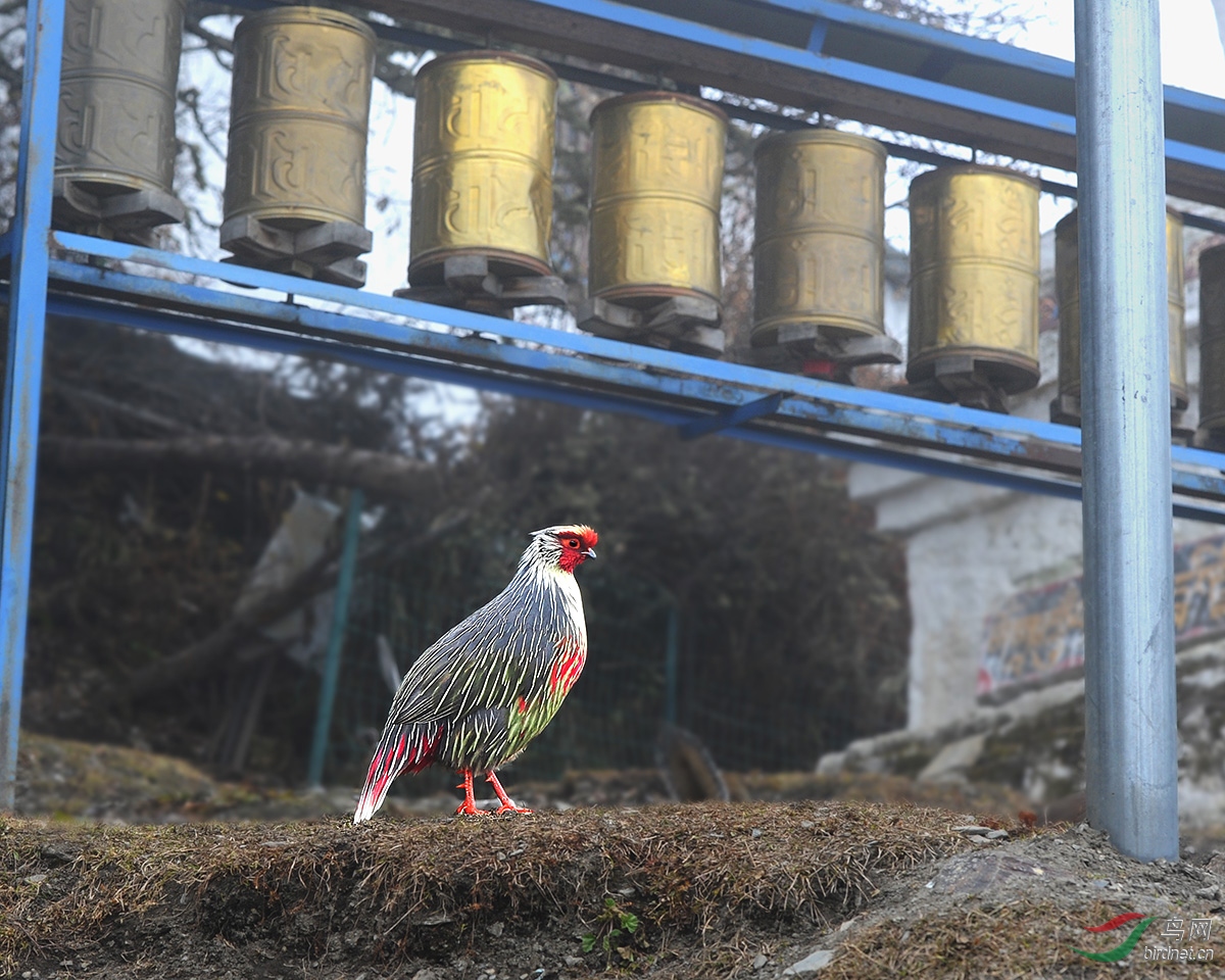 DSC_3880.jpg