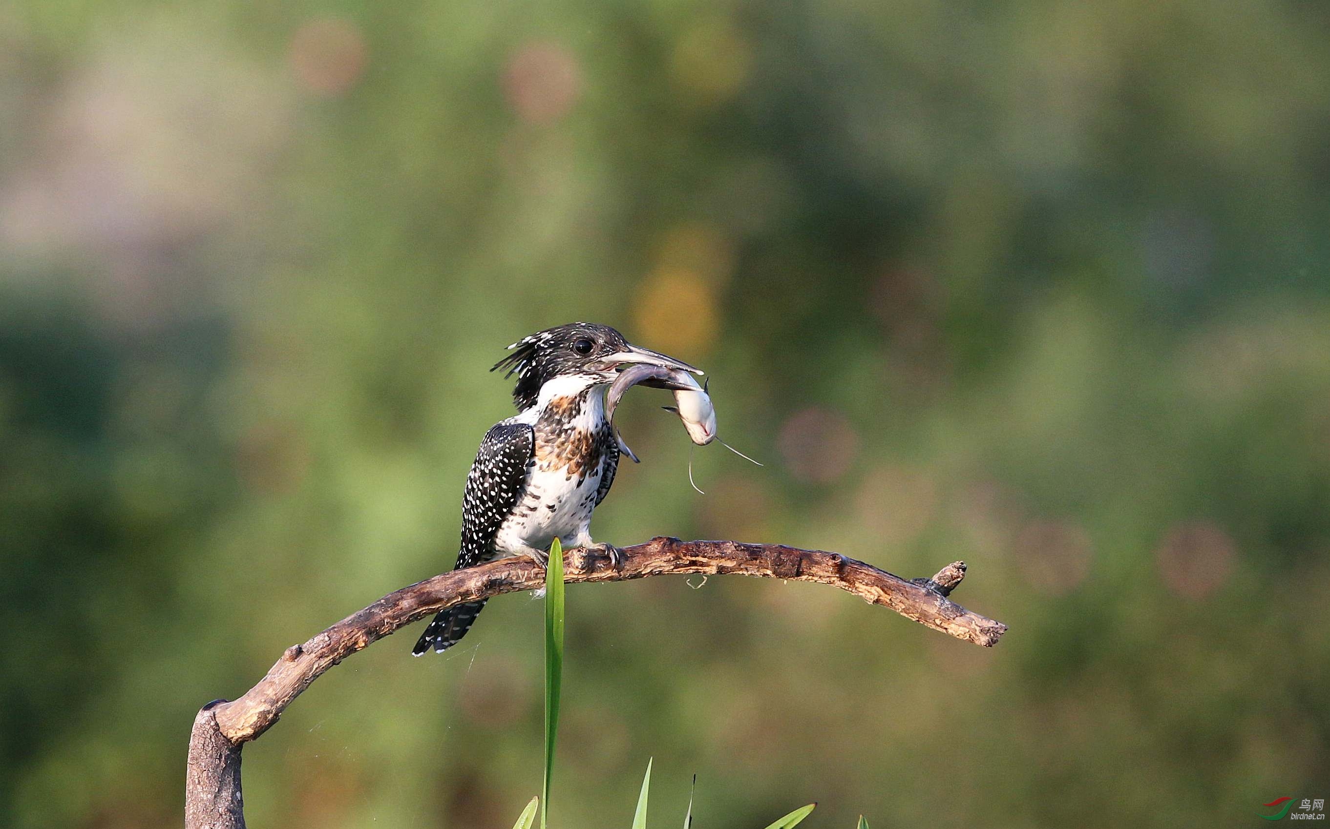 H46R6664_���� (2).jpg