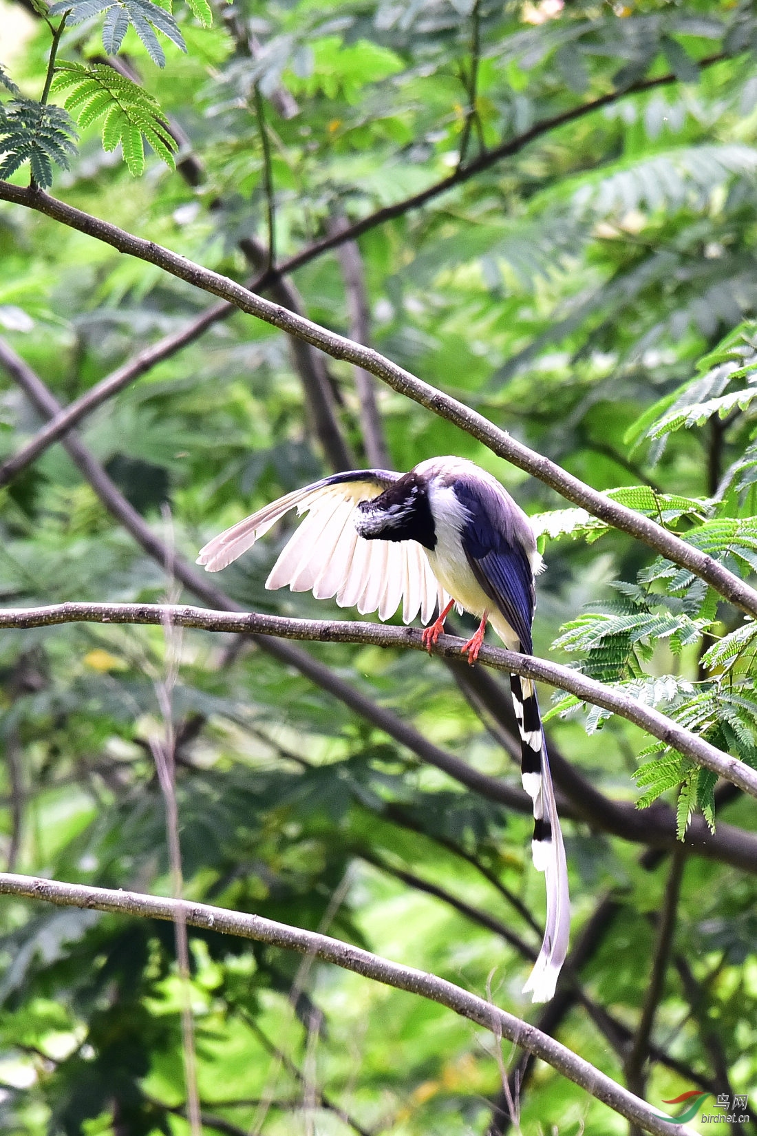 DSC_0624.JPG