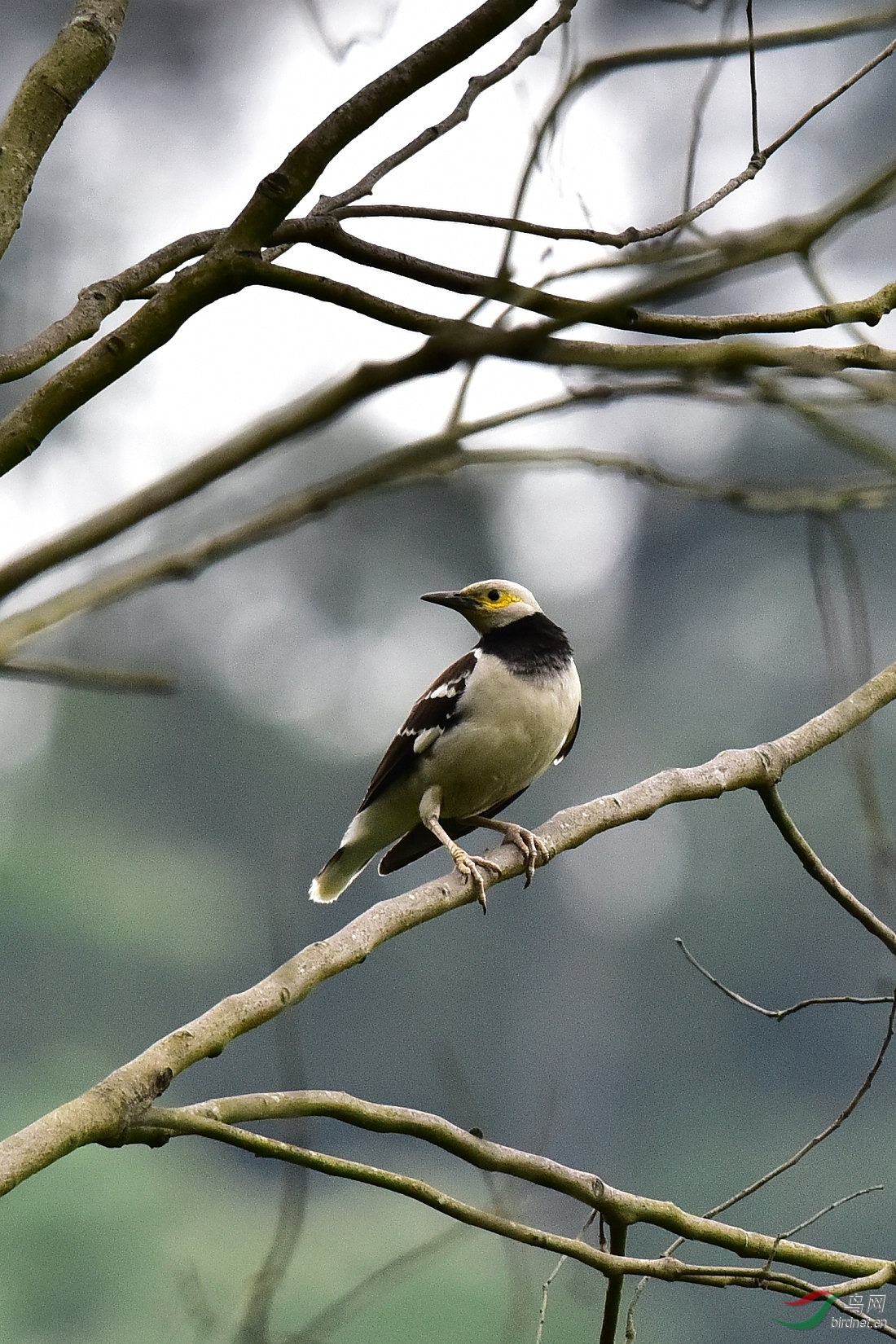 DSC_0203.JPG