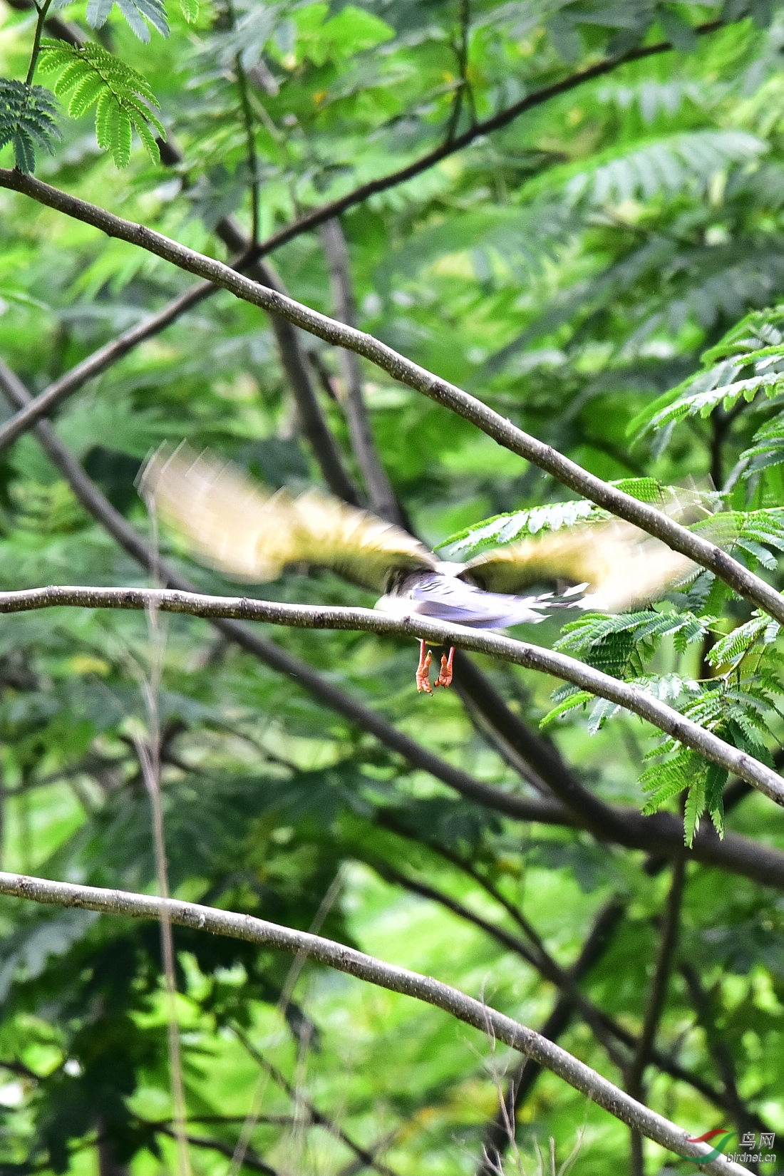 DSC_0625.JPG