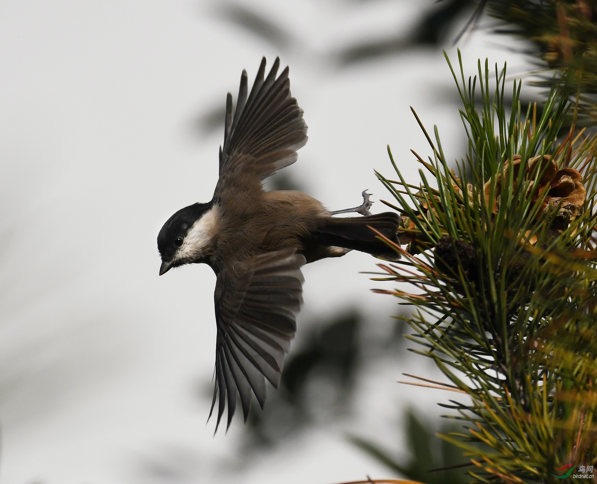 ������Ӱ 2048����.jpg