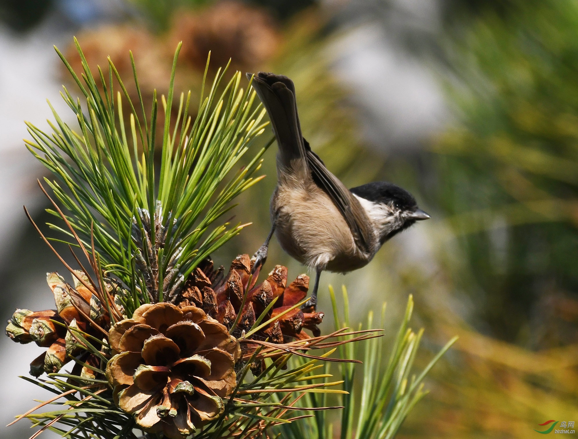 ������Ӱ 2105����.jpg