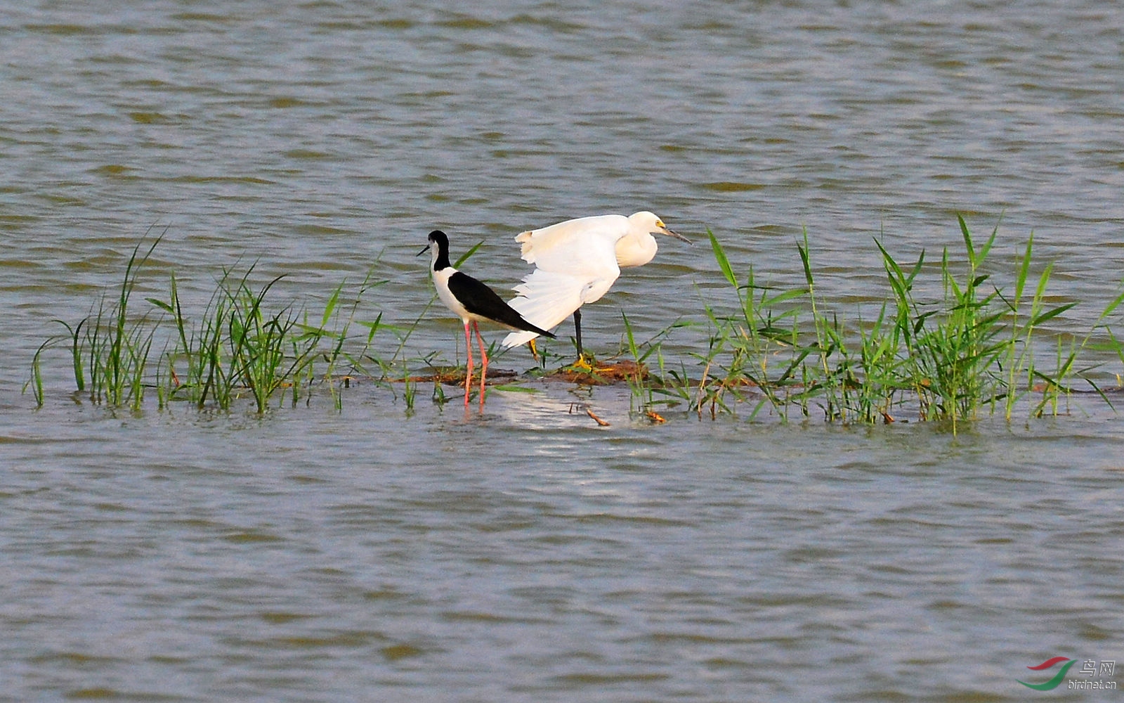 DSC_3365.JPG