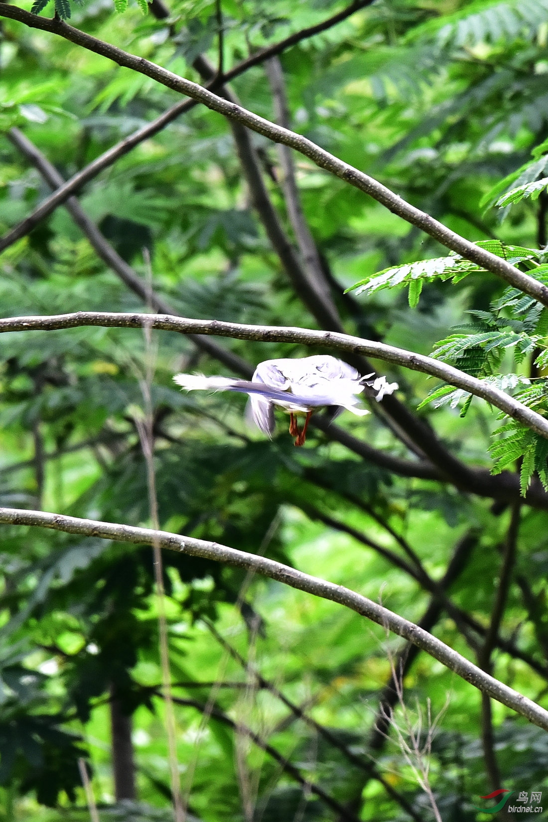 DSC_0626.JPG