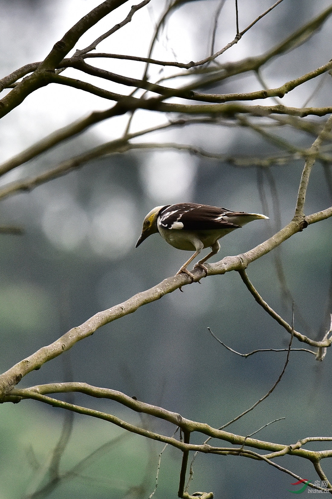 DSC_0206.JPG