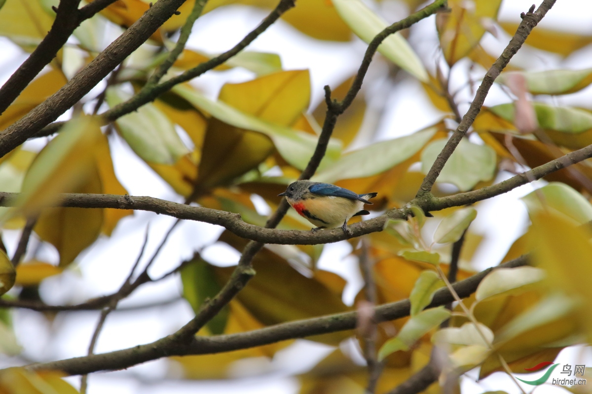 IMG_9703-1.JPG