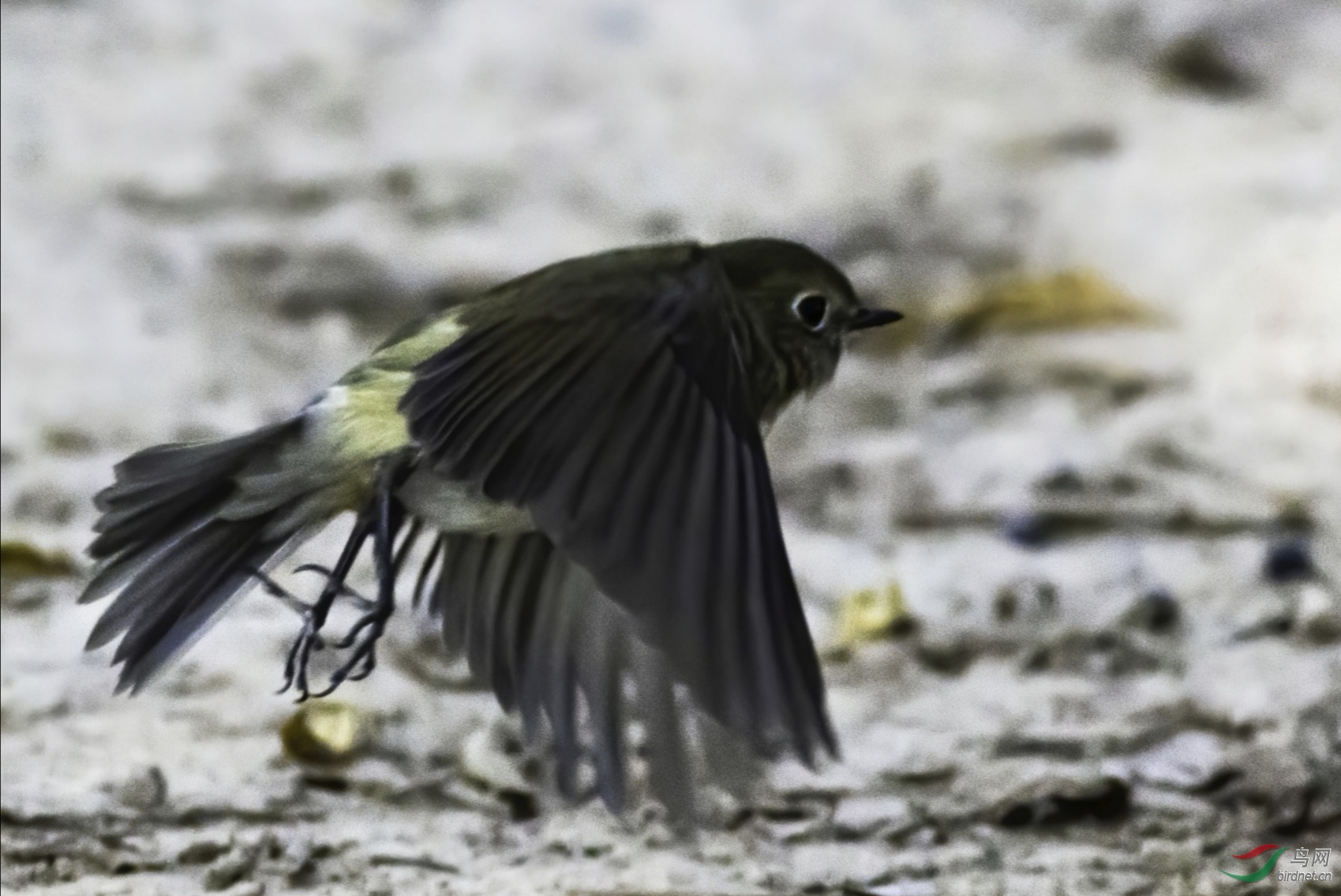 ����90d��iso3200