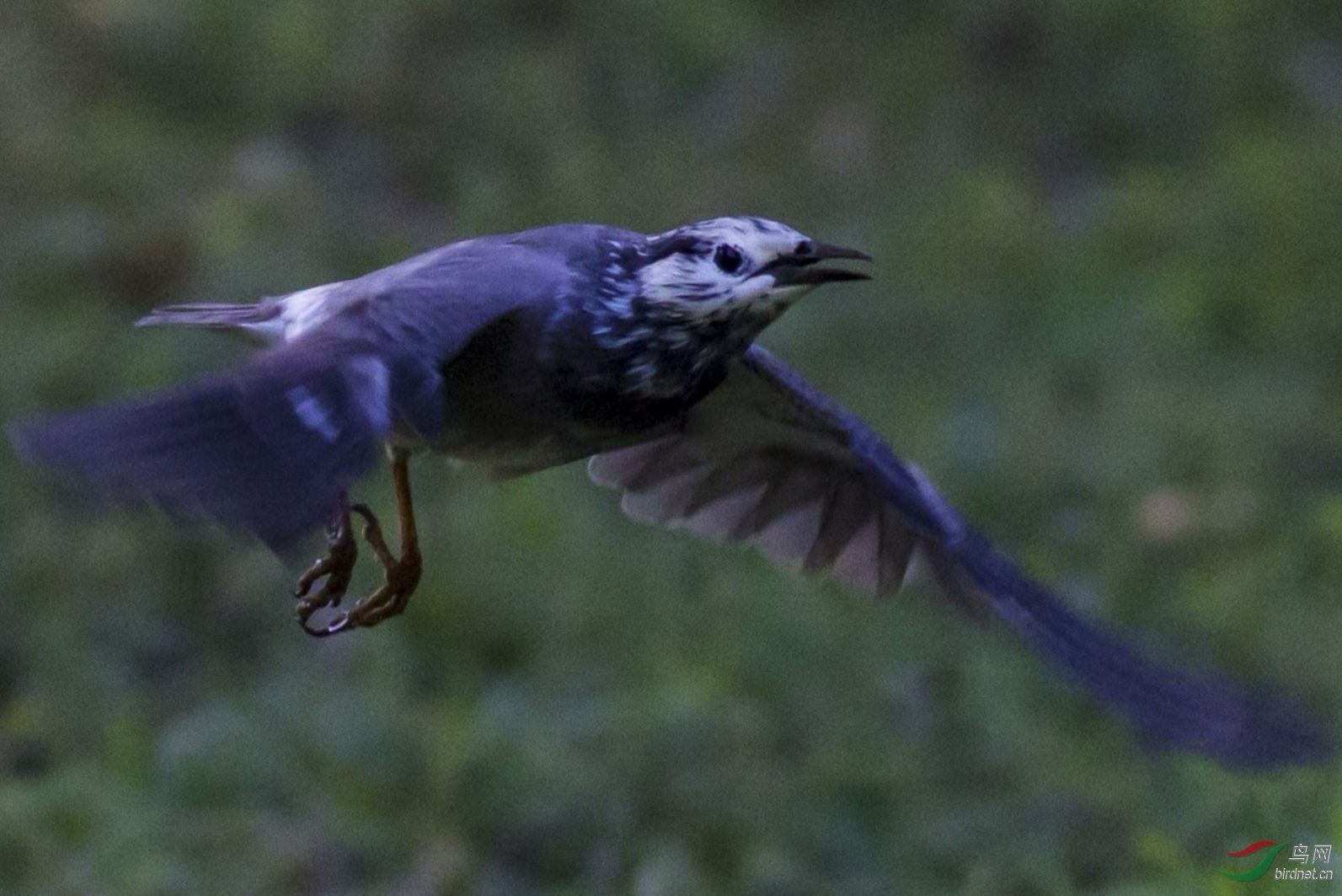 ����600d��iso3200